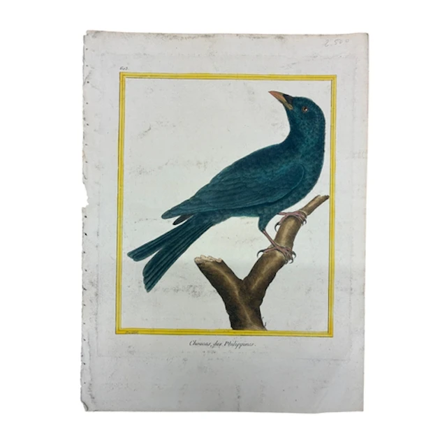 A group of 20th century drawings, paintings and prints: Five...