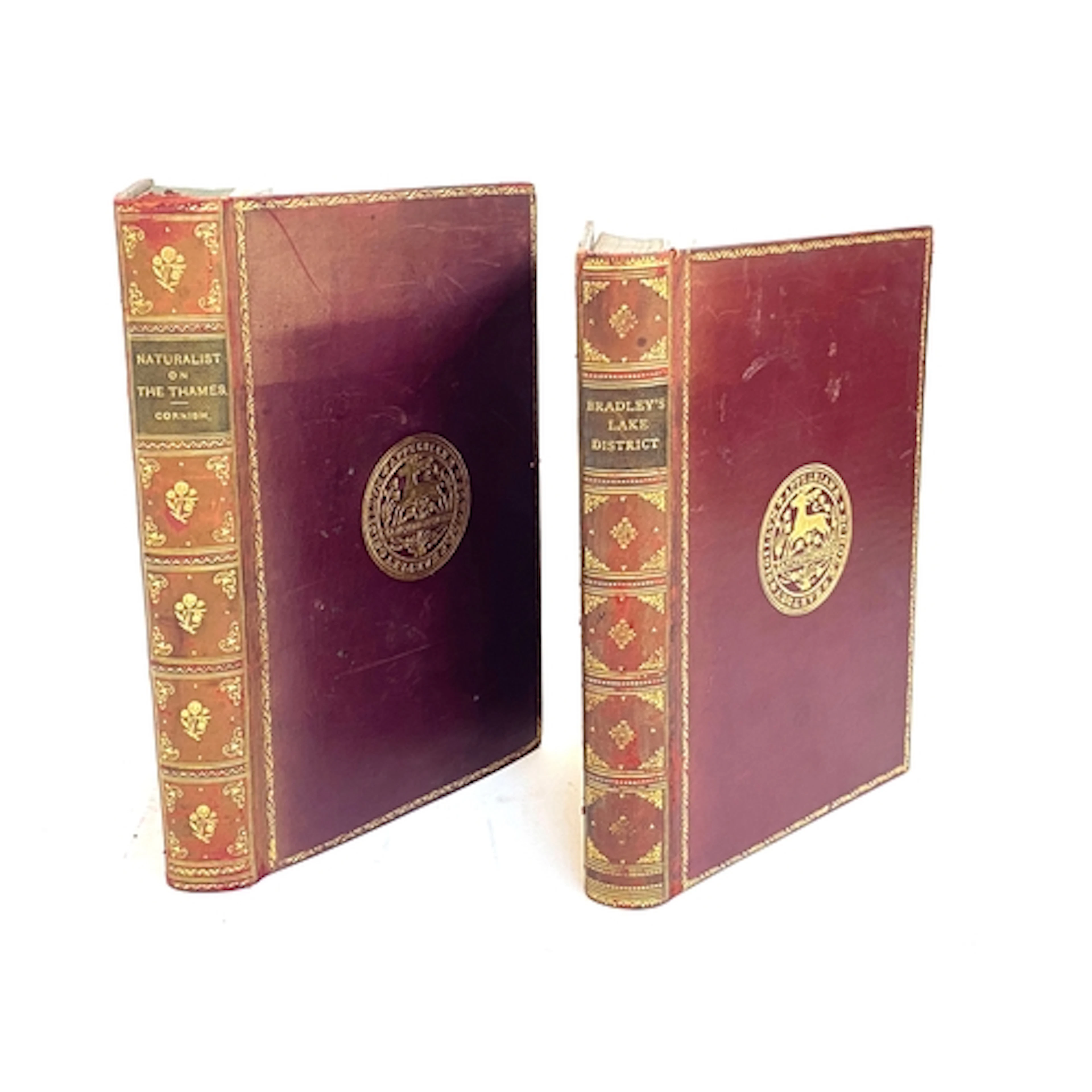 BINDINGS, NATURAL HISTORY. Both Appleby School prize-binding...