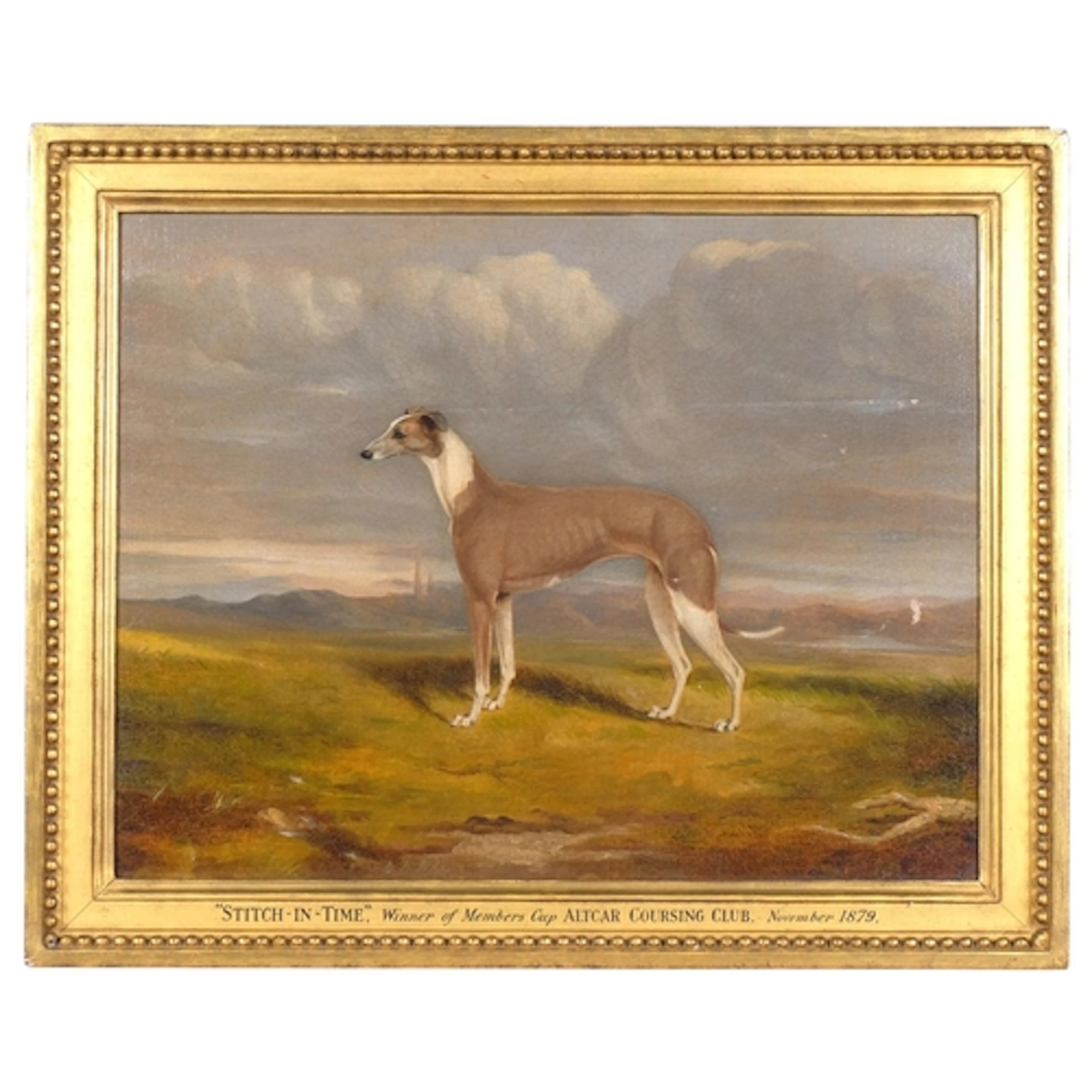 A 19th century portrait of a Greyhound, Stitch In Time, Winn...