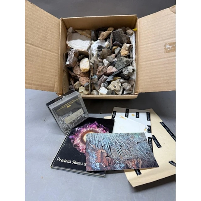 A selection of fossils and mineral samples.