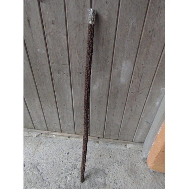 Antique Silver Handled Chinese Walking Stick Monkeywood Full...