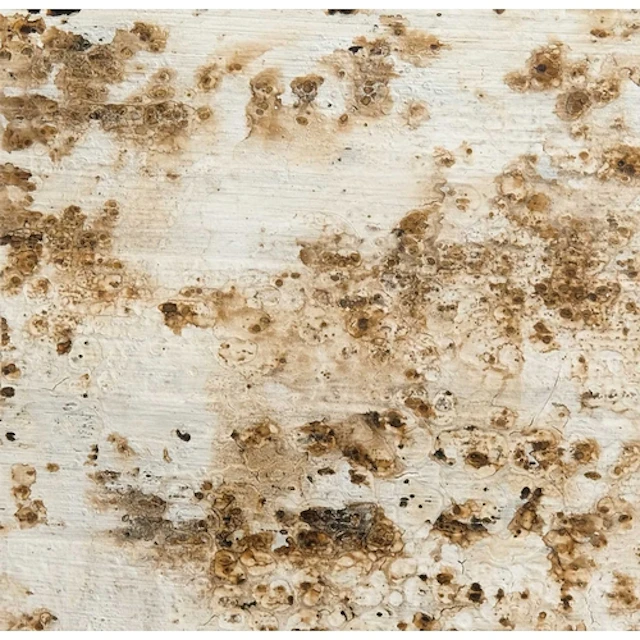 § Richard NOTT (1963-2025) Debris, No. 12 (2004) Mixed media...