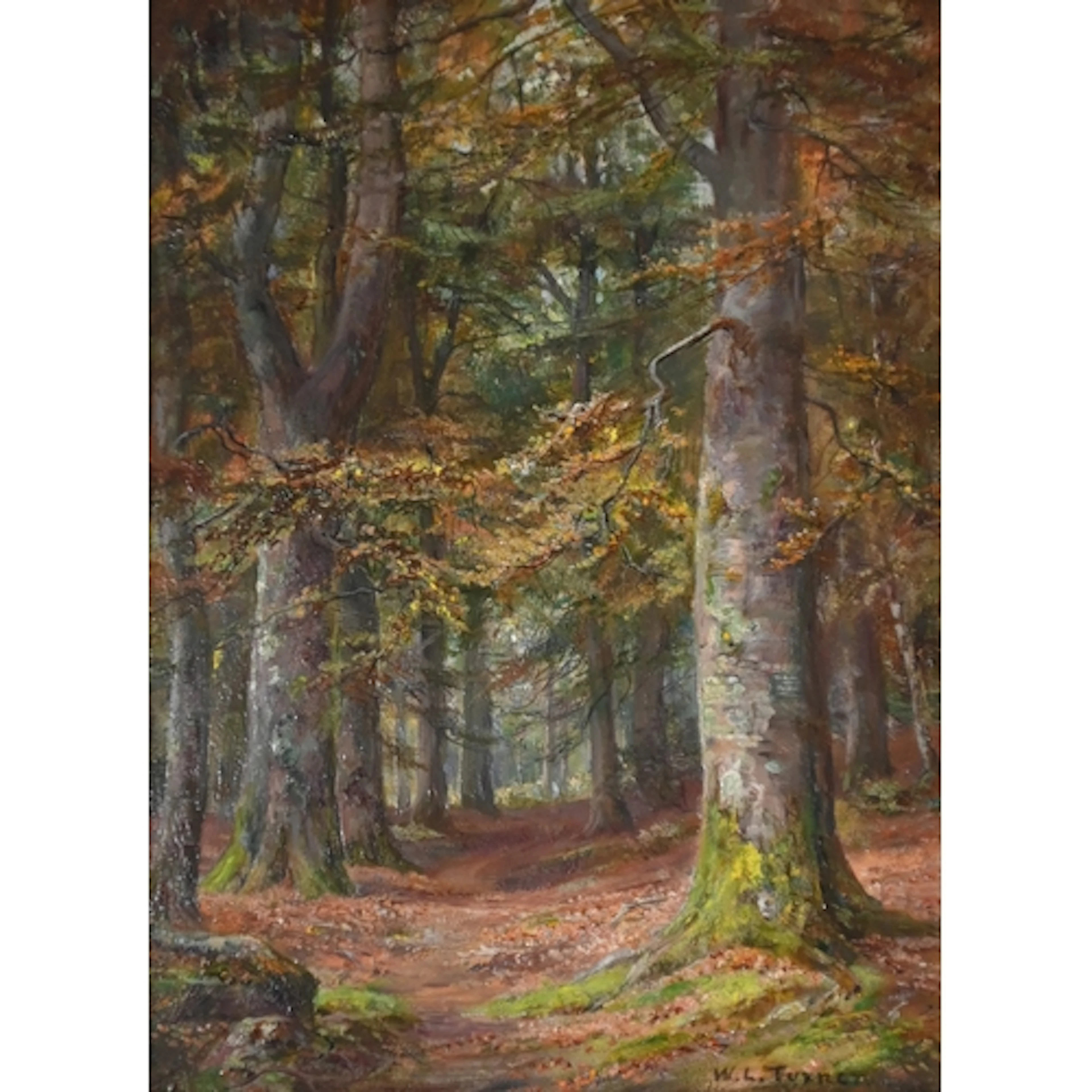 William Lakin Turner (1867-1936) - A Wood in Summer, signed,...