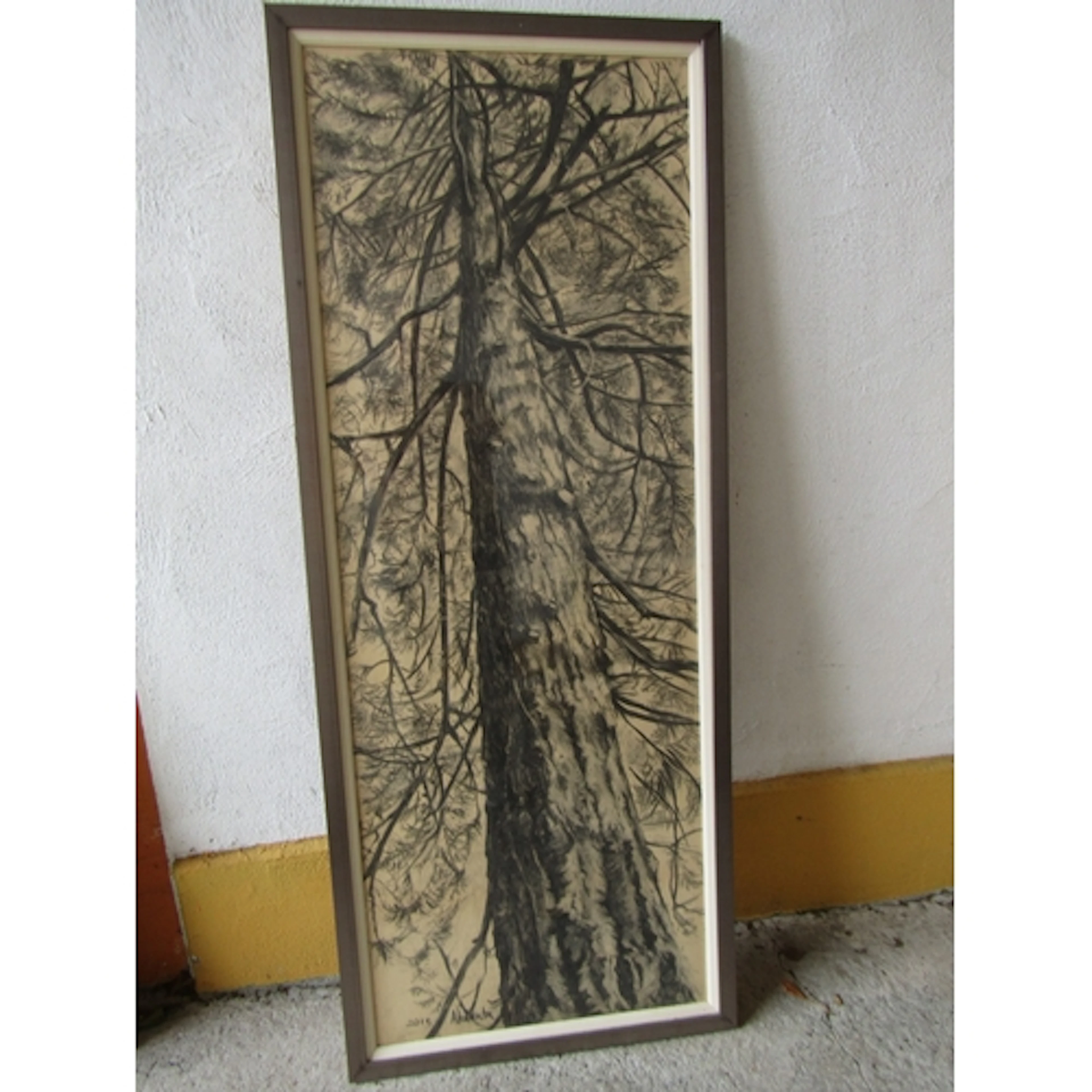 Atlanta Pollock Watercolour The Douglas Fir at Powerscourt T...