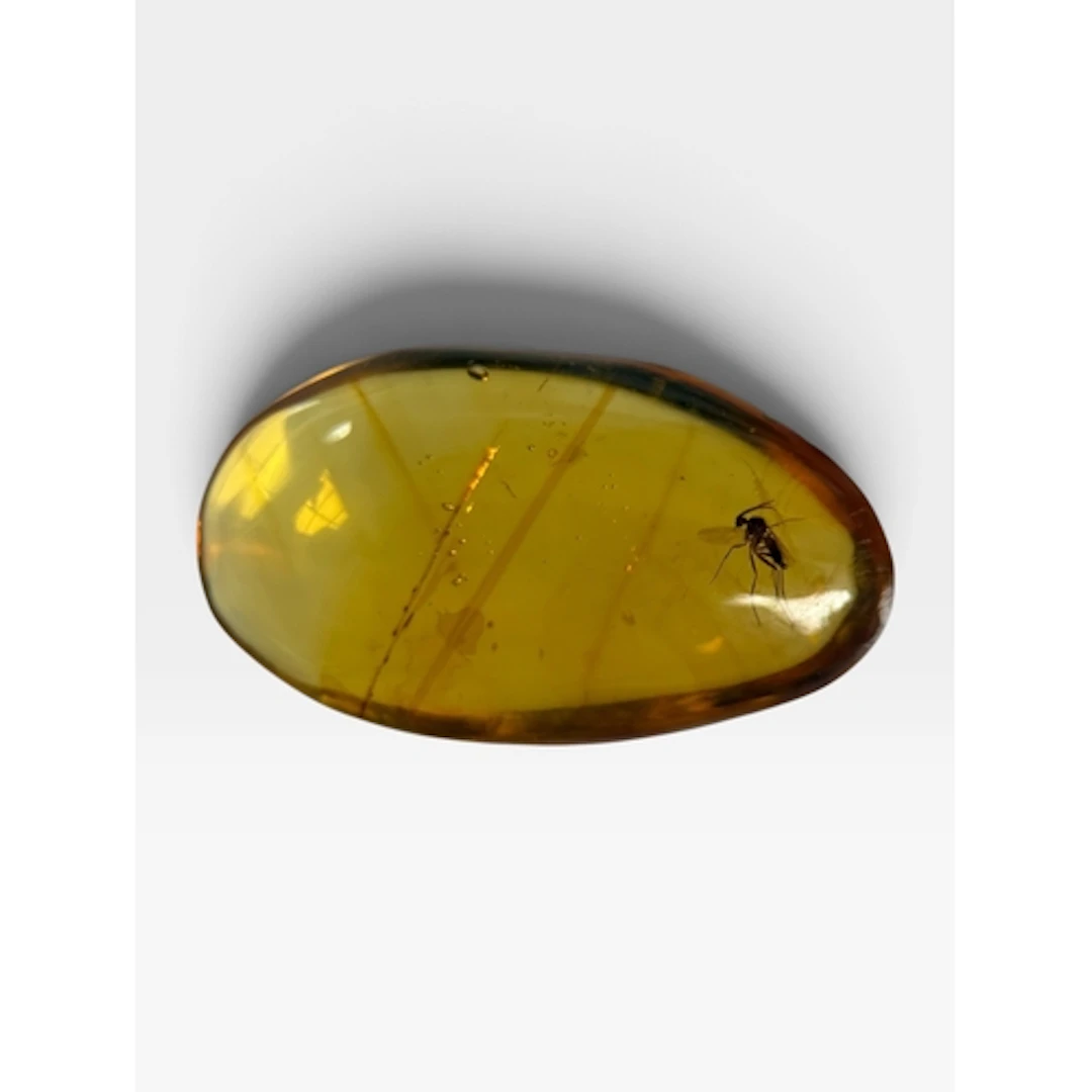 A FLYING INSECT FOSSIL IN AMBER A highly detailed flying ins...