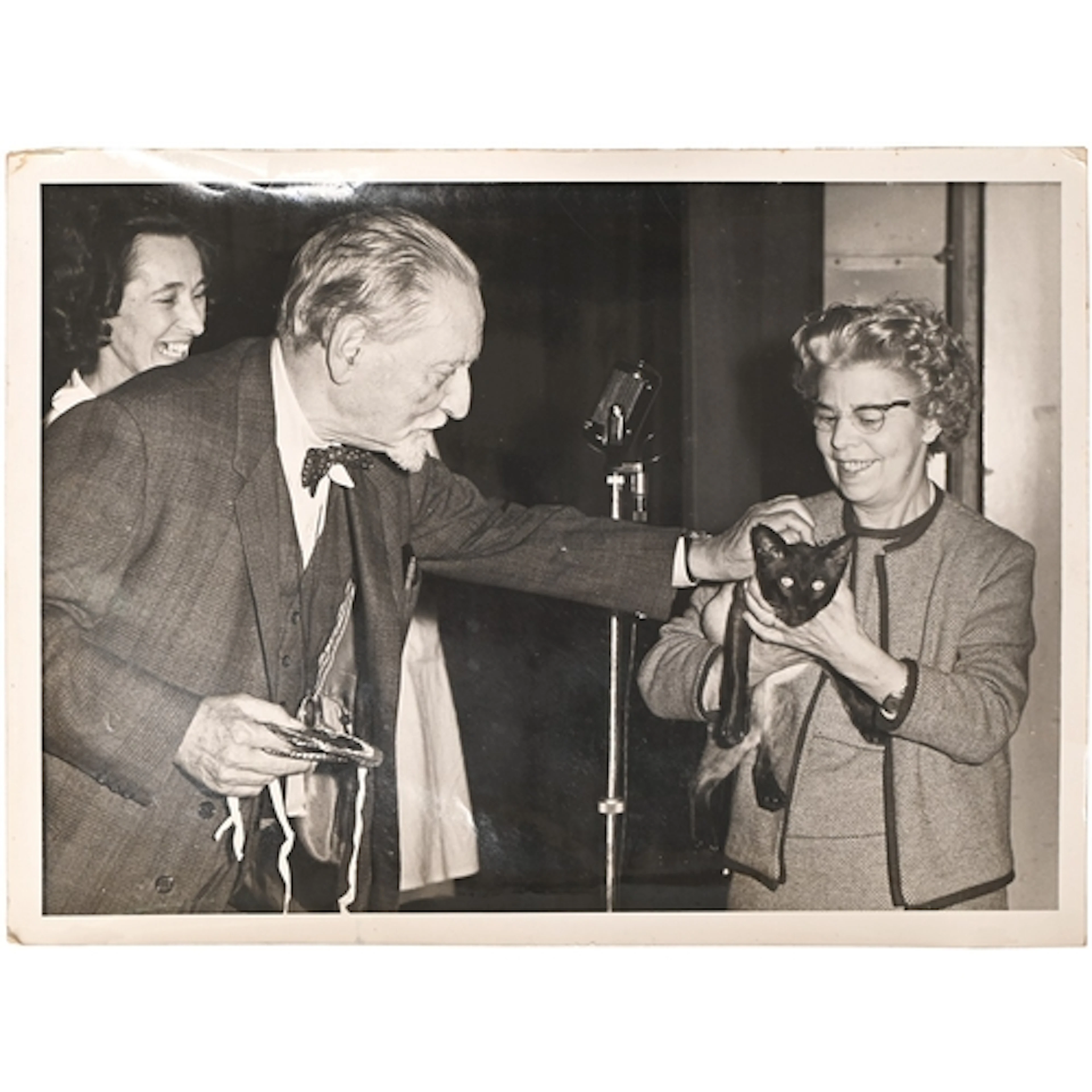 Cats. Mary Dunnill, pedigree breeder and author of the canon...