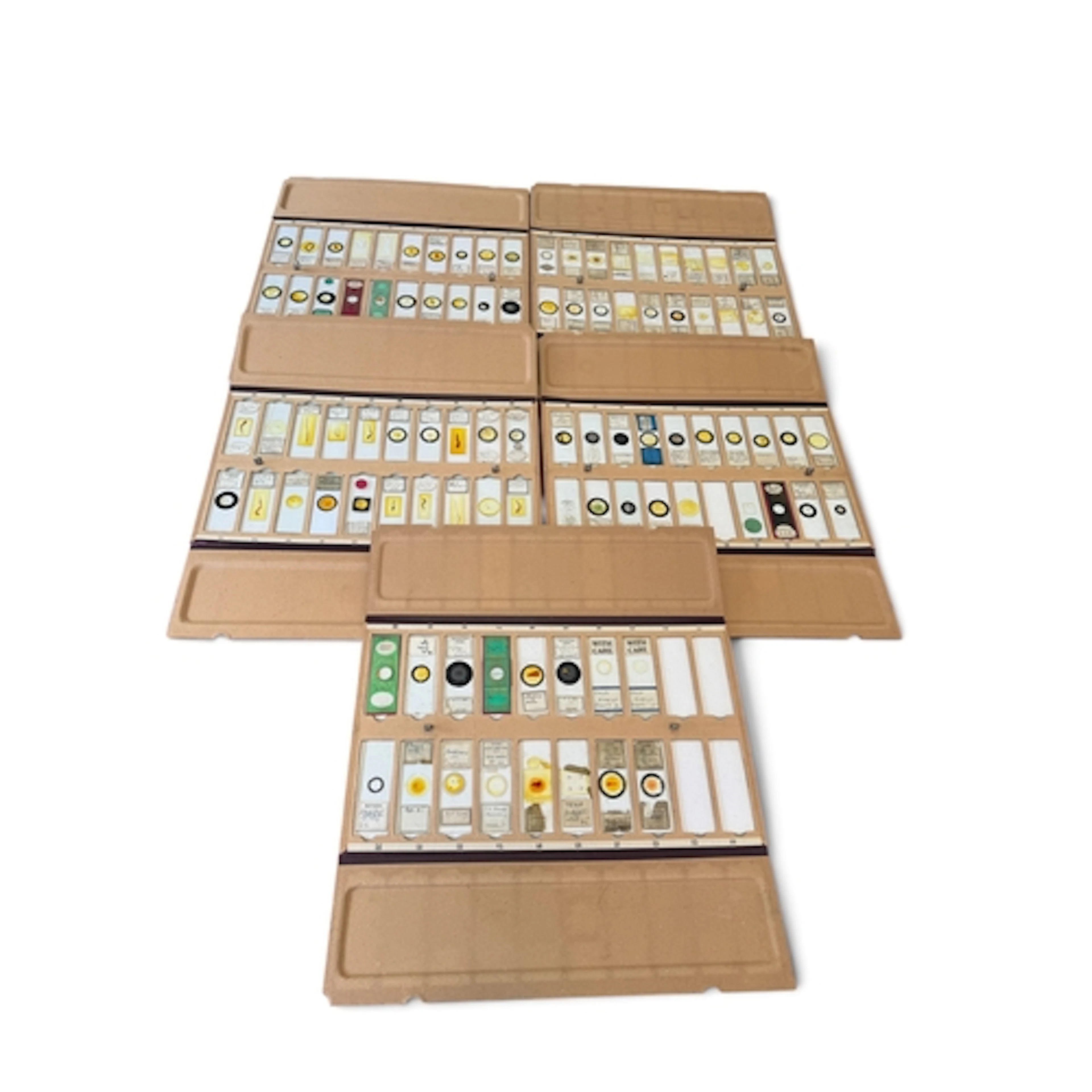 A COLLECTION OF ANTIQUE MICROSCOPE SLIDES