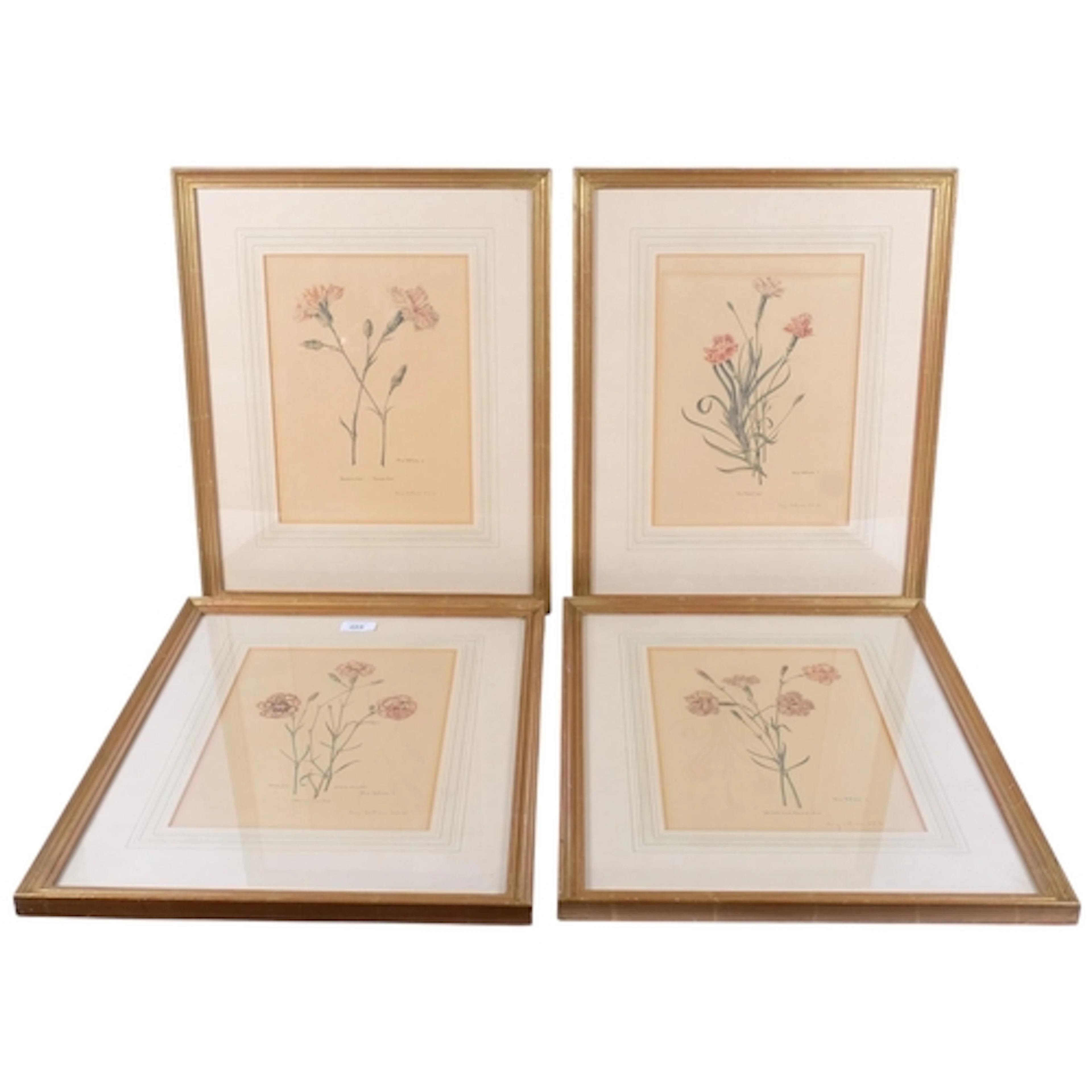 A set of 4 Rory McEwan botanical prints, hand signed by the ...
