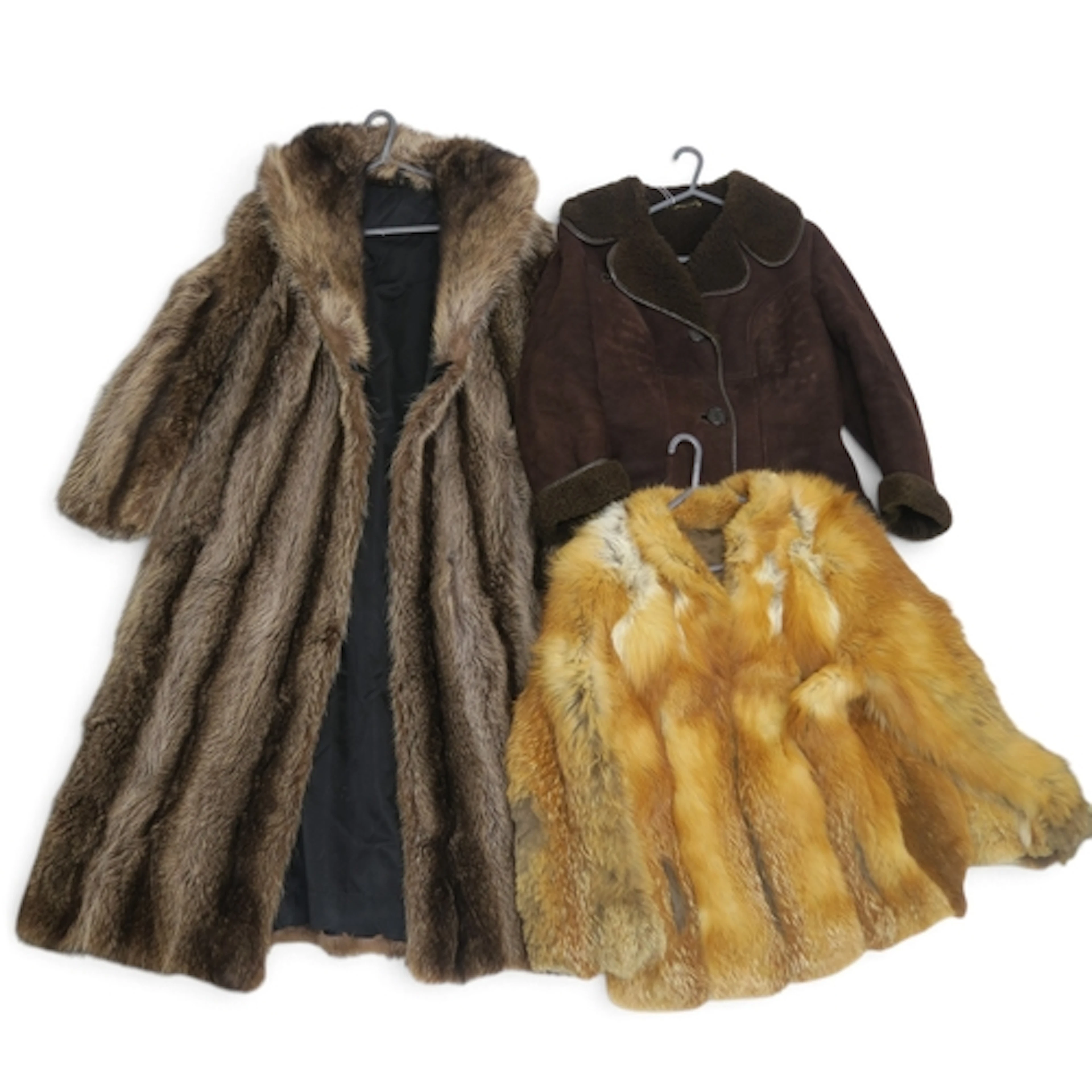 A raccoon fur coat, a red fox jacket, and a chocolate brown ...