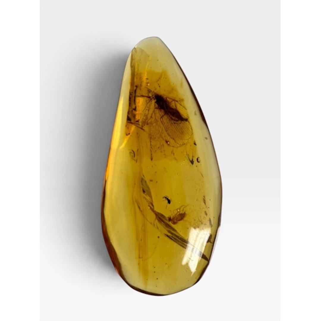 A FLYING INSECT FOSSIL IN AMBER A highly detailed flying in...