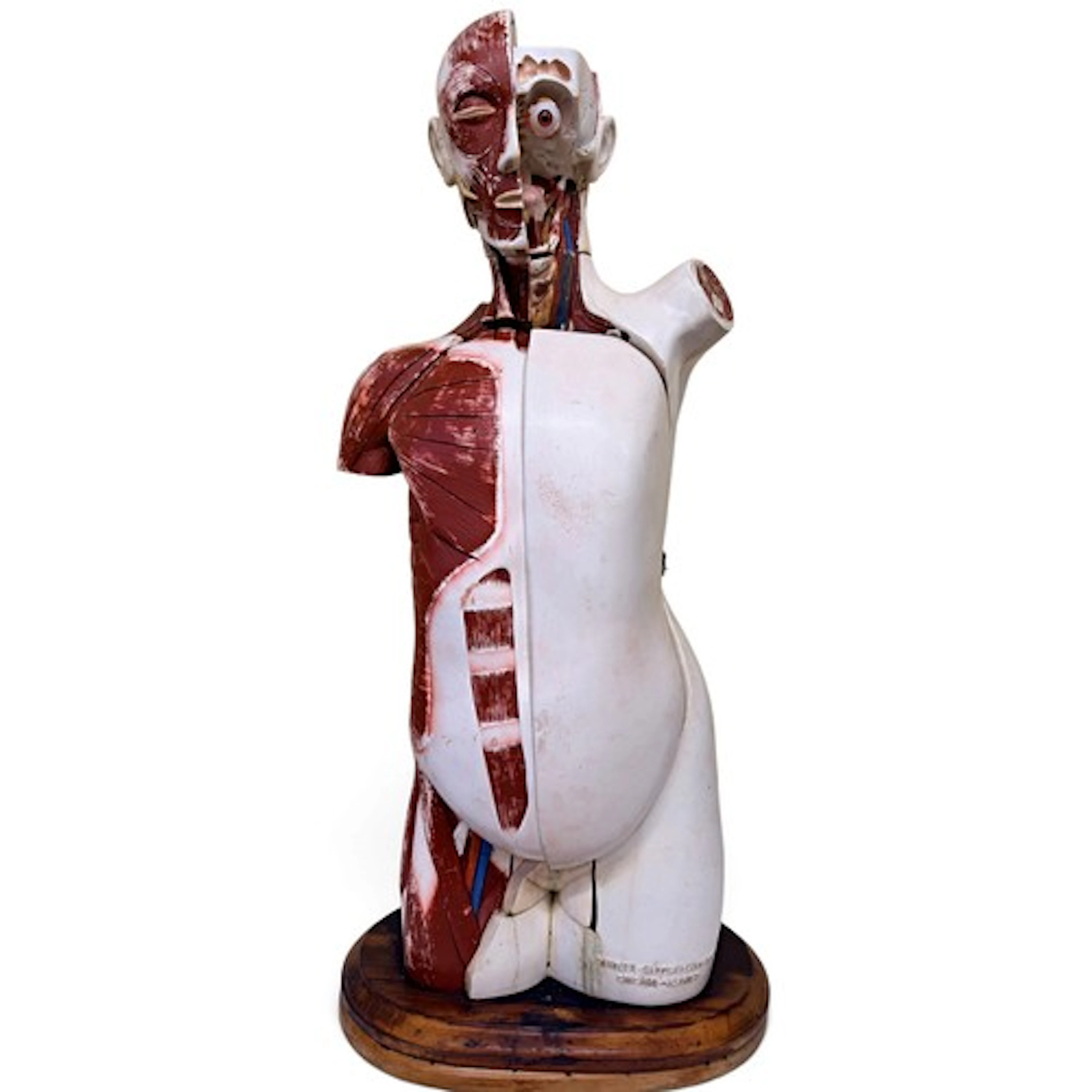 Scientific / Medical Interest: A large American anatomical m...