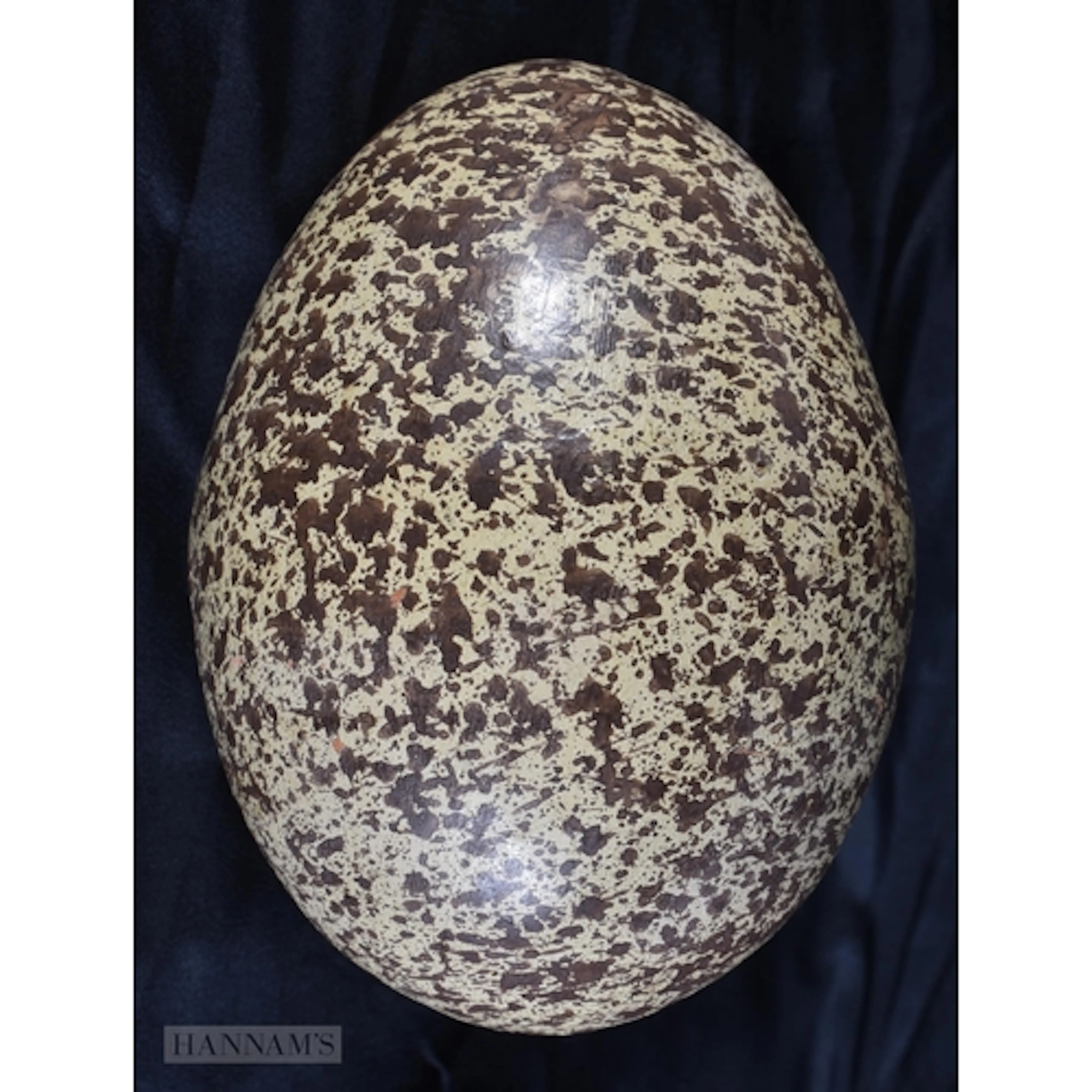 AN UNUSUALLY LARGE 19TH CENTURY ENGLISH POTTERY DINOSAUR EGG...