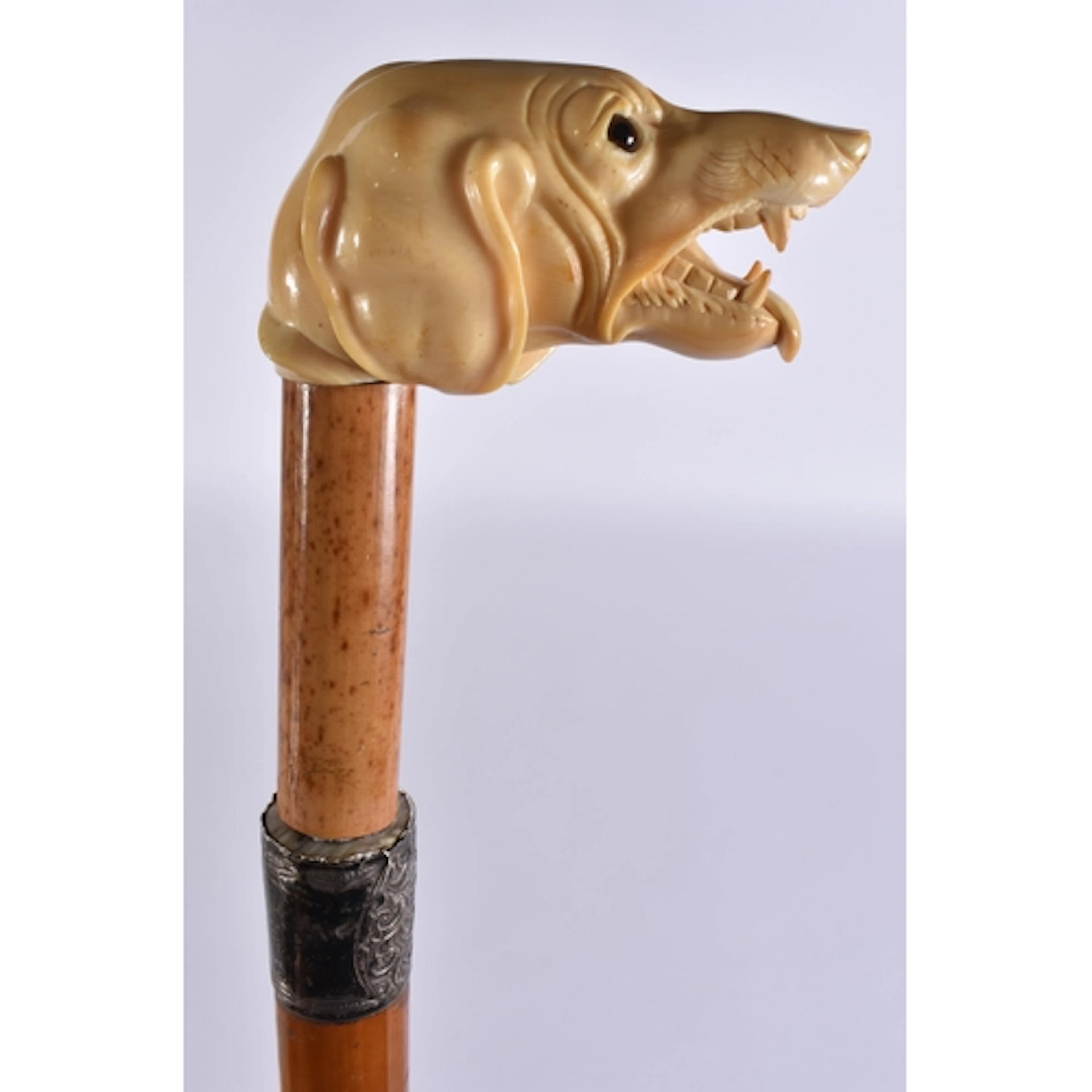 A FINE 19TH CENTURY DOG HEAD WALKING CANE with silver mounts...