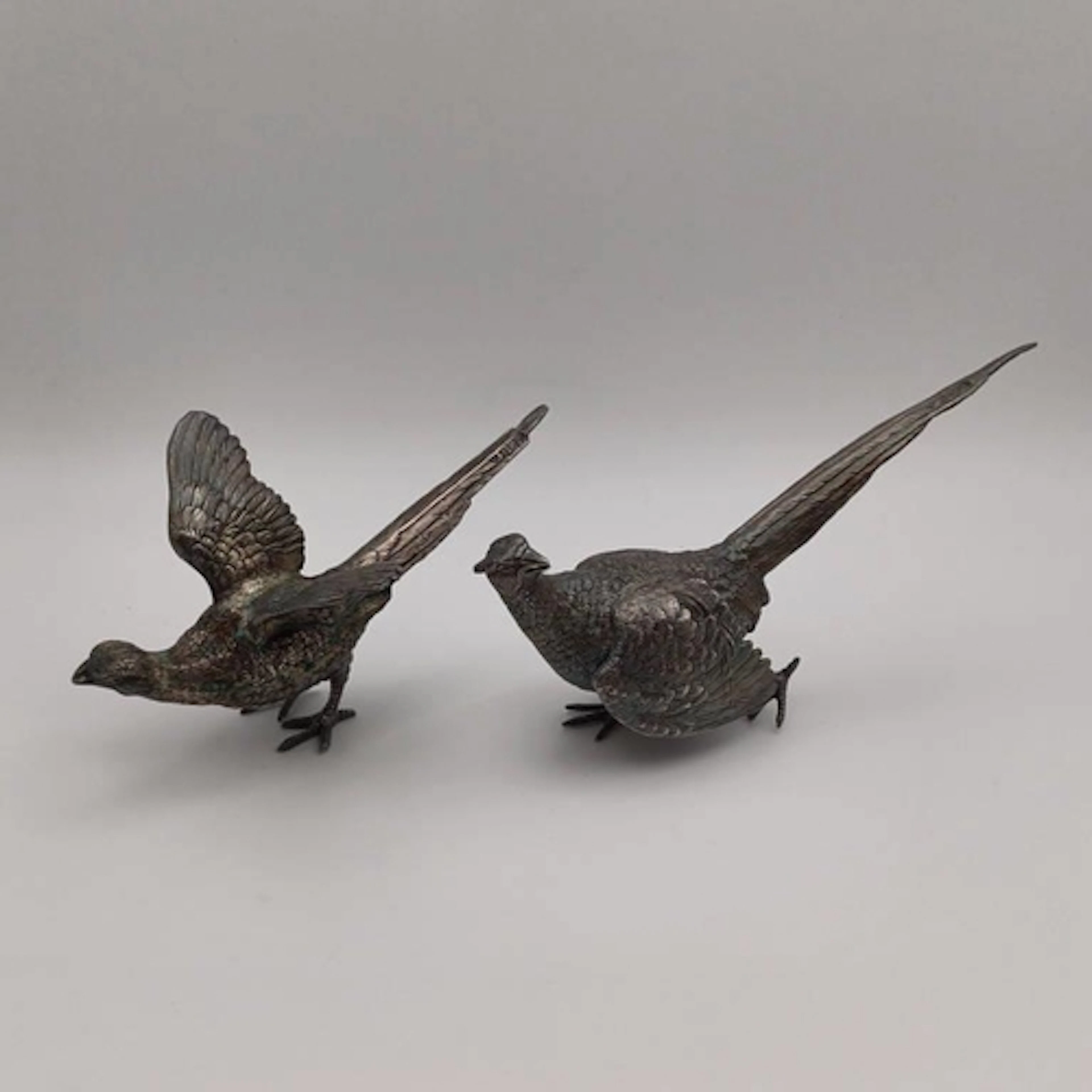 PAIR OF SILVER PHEASANTS BY C J VANDER, SHEFFIELD 1993 - 280...