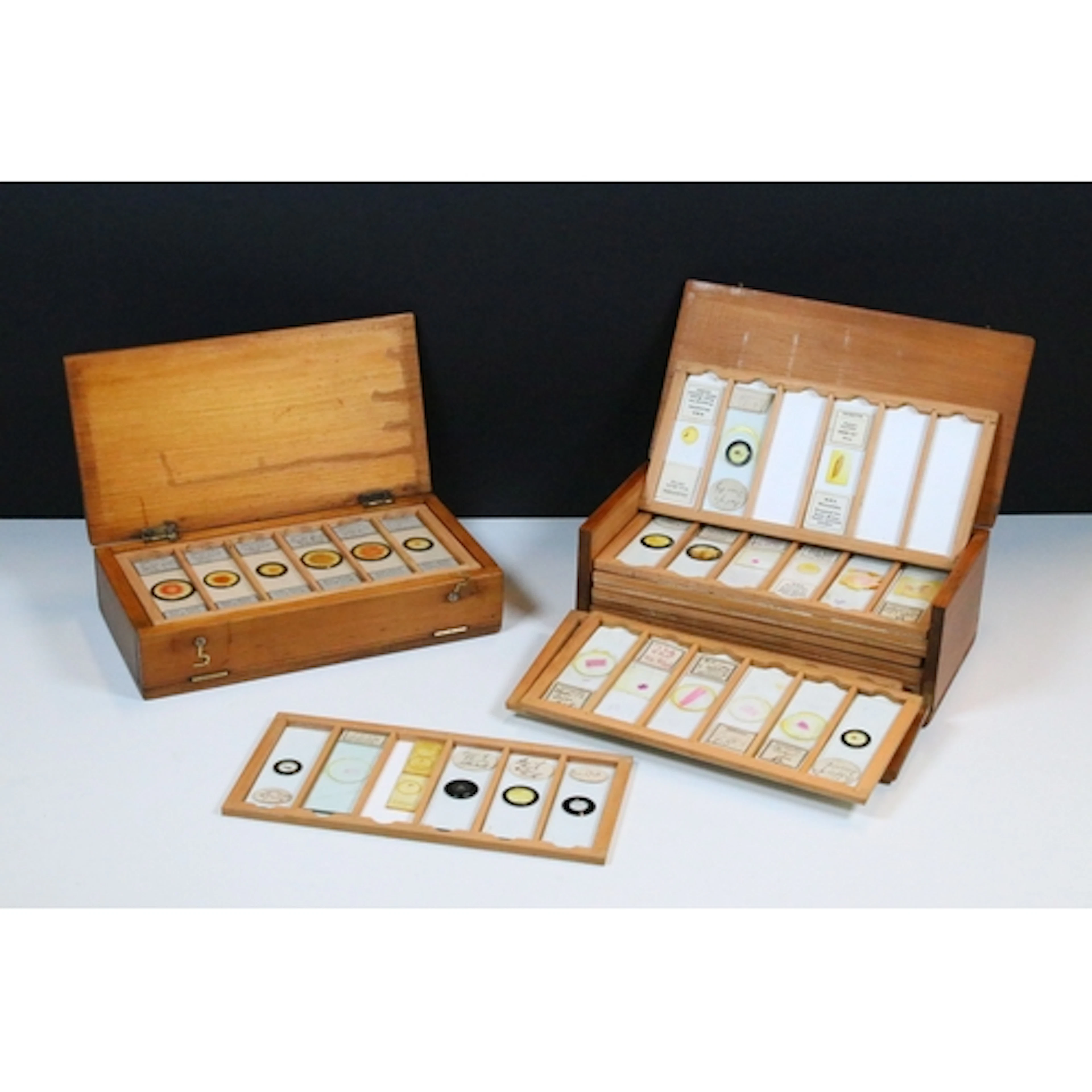 Two cased sets of microscope slides including wings, insects...