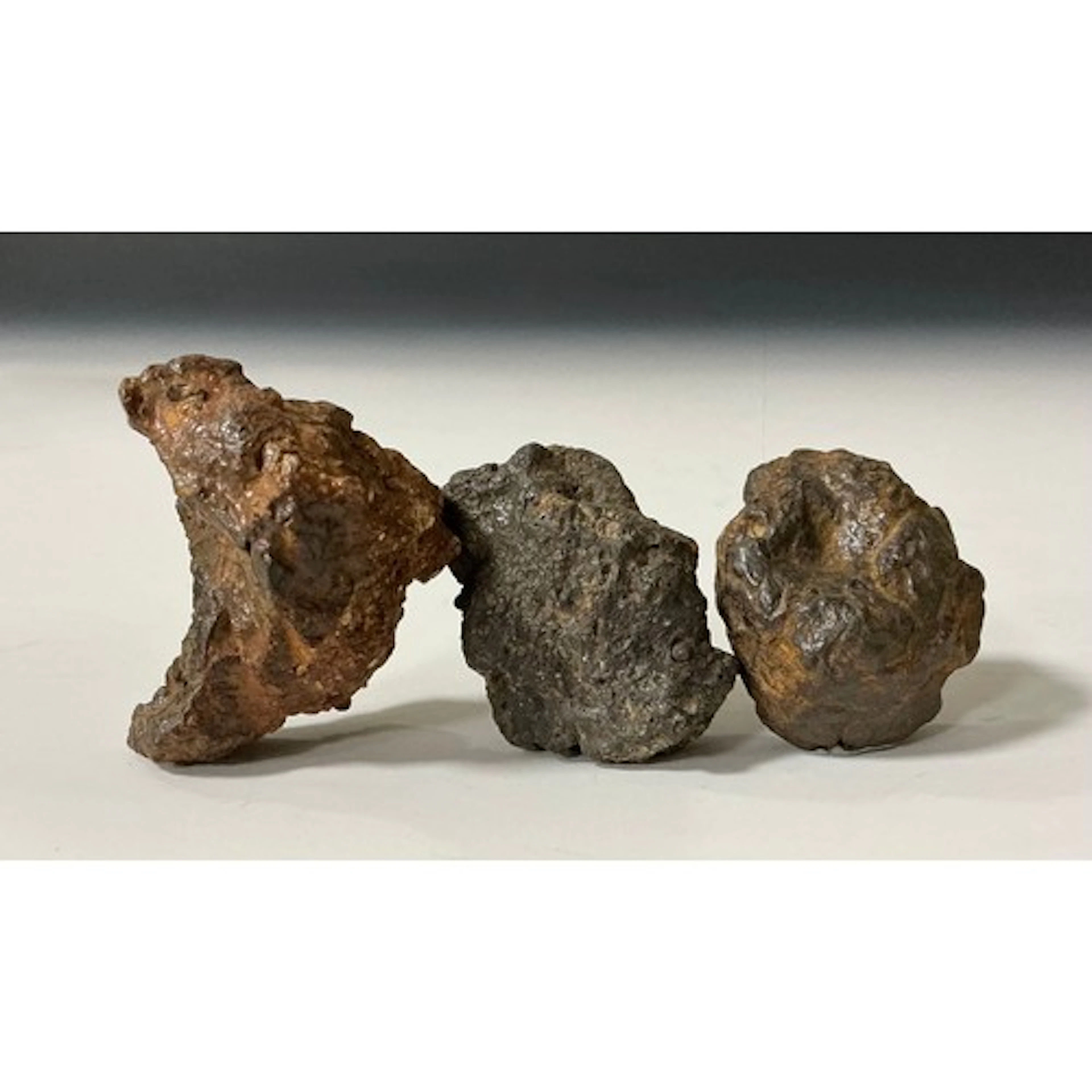 Nantan Meteorite (111CD) Course Octohedrite - Fell 1516 A.D....