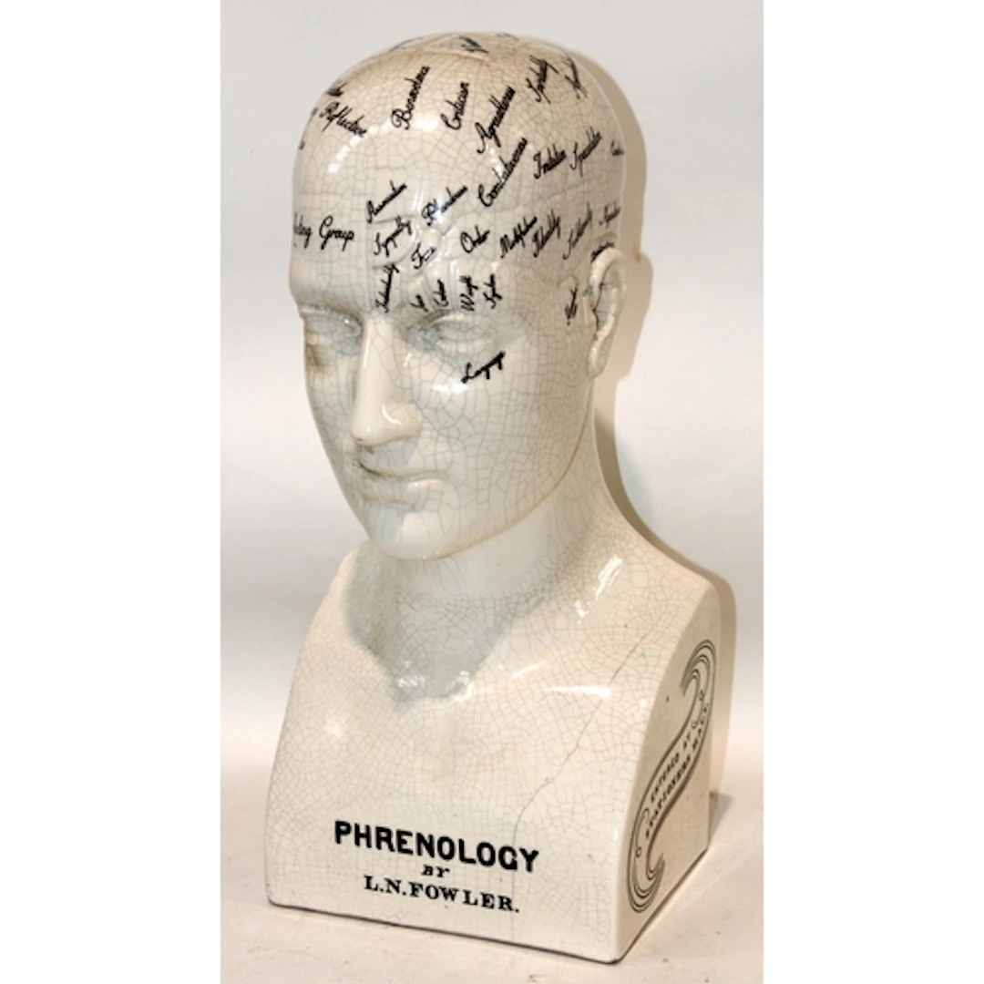 Large ceramic Phrenology head, 46cms tall