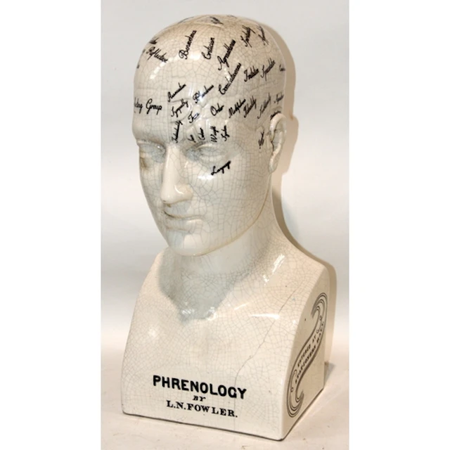 Large ceramic Phrenology head, 46cms tall