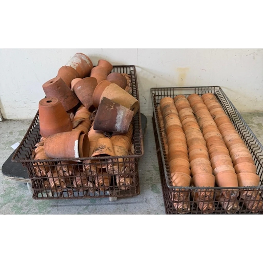 A quantity of terracotta plant pots. Various sizes