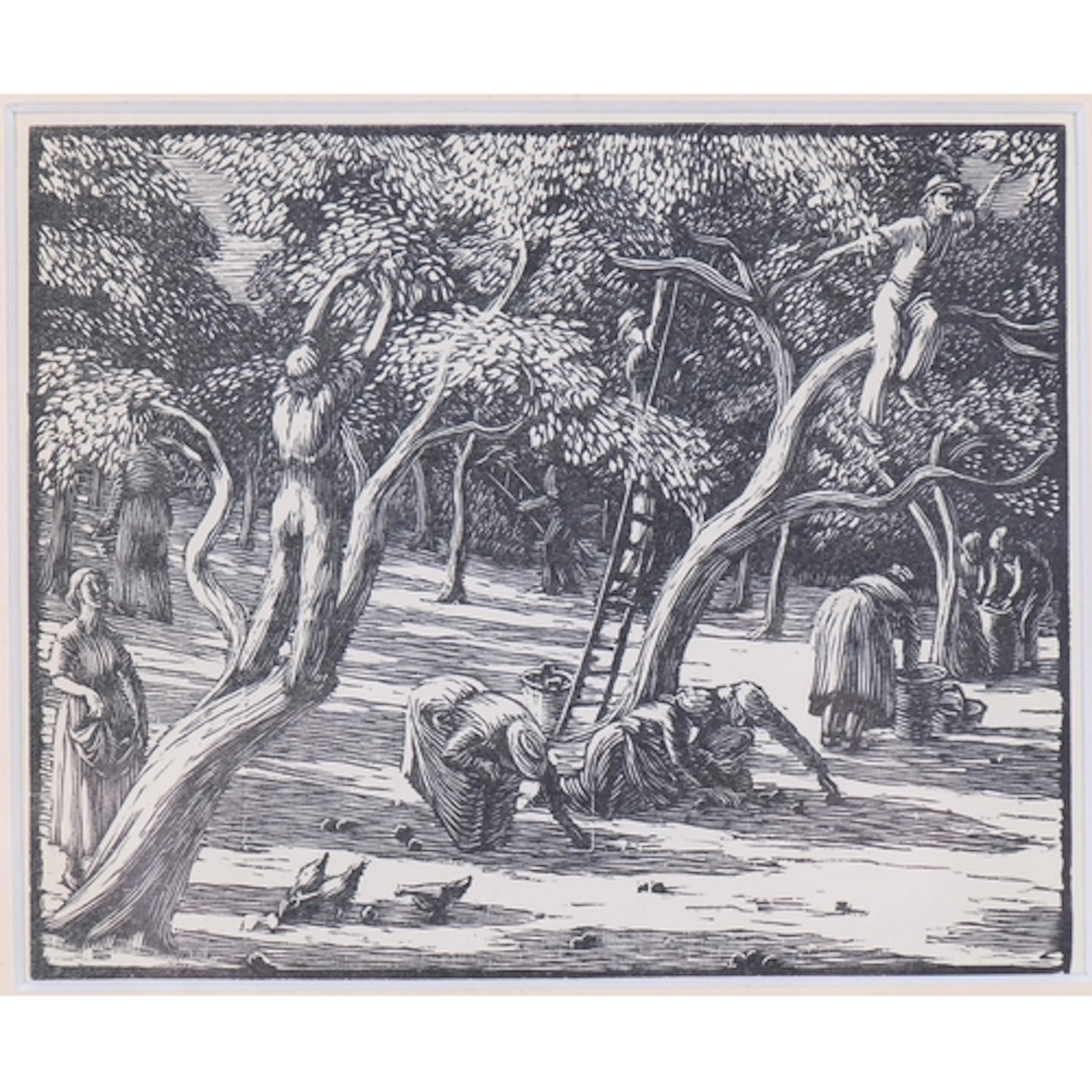 Gwen Raverat (1885-1957), wood engraving on paper, Olive Pic...
