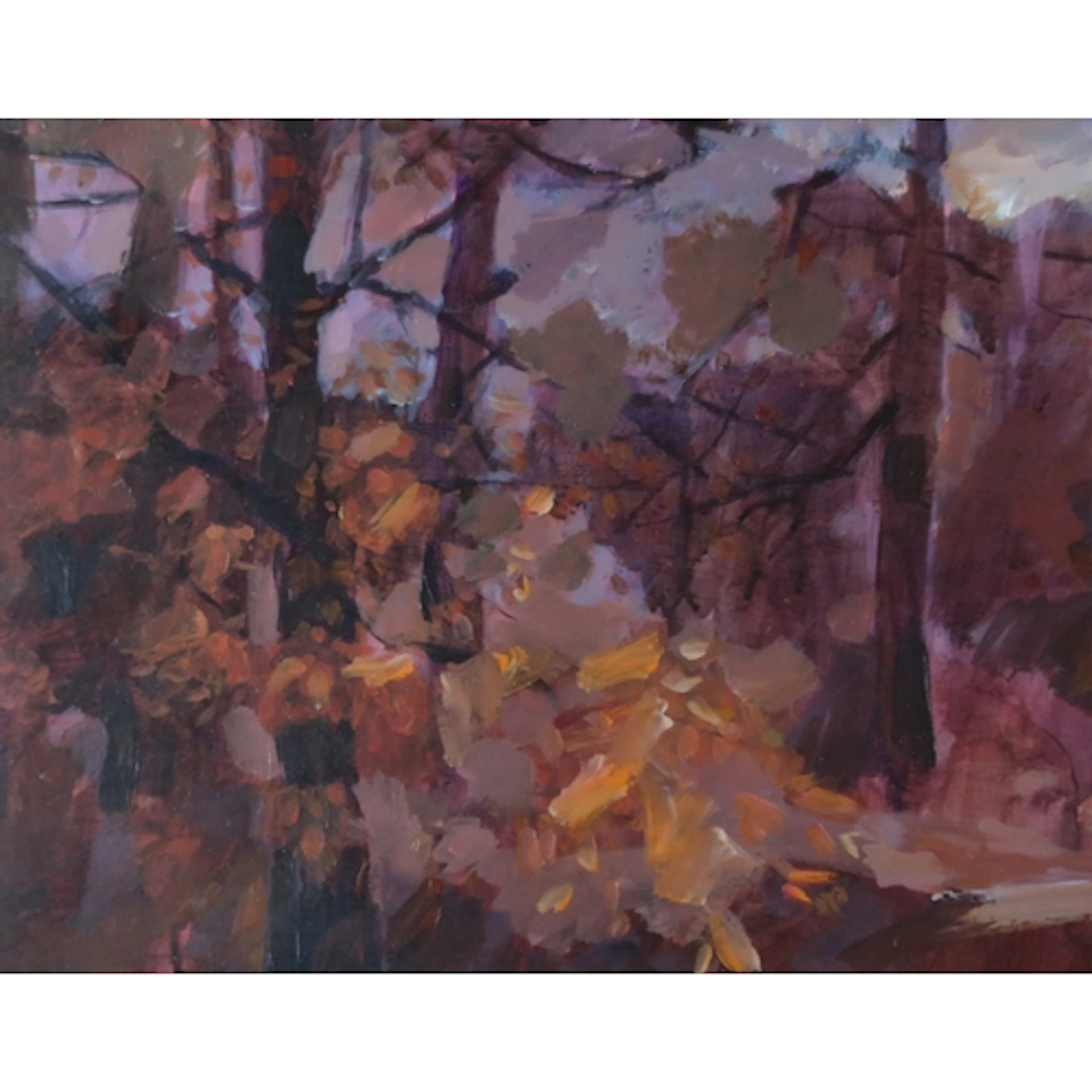 JEAN MACDONALD (SCOTTISH CONTEMPORARY) AMBER AND GOLD, POLL...