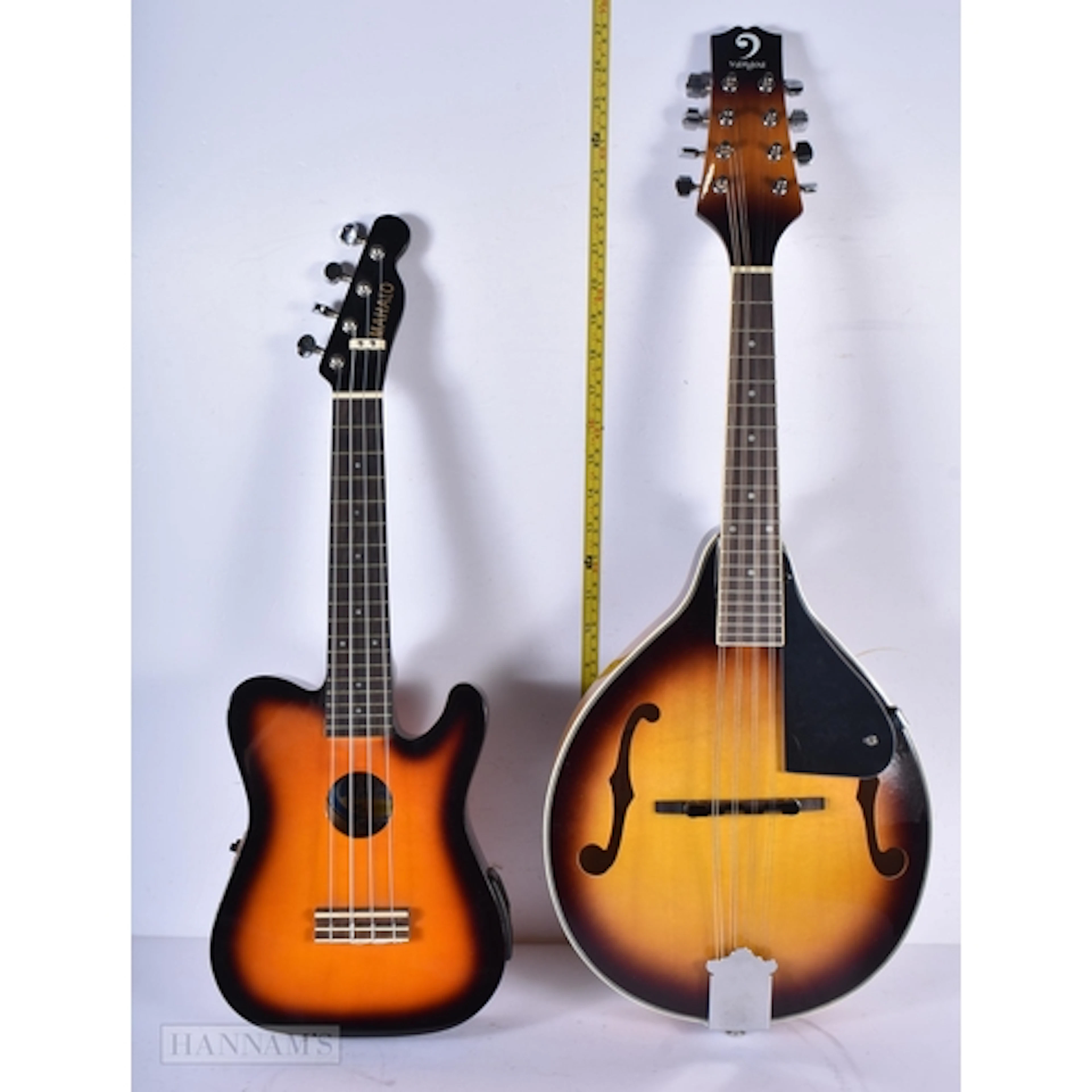 A Vangoa mandolin with a soft case together with Mahalo ukul...