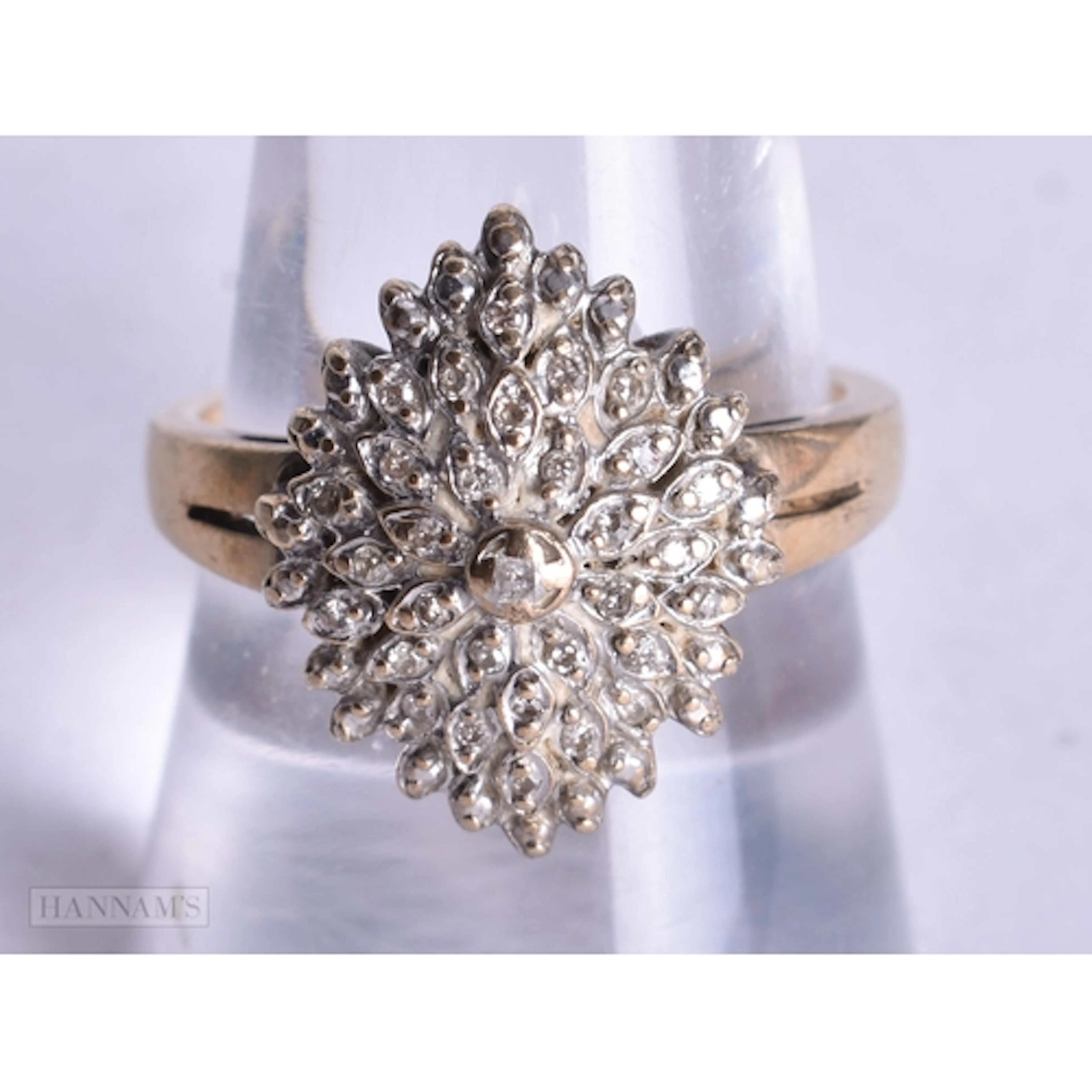 9ct gold diamond cluster ring (4.5g). Q.