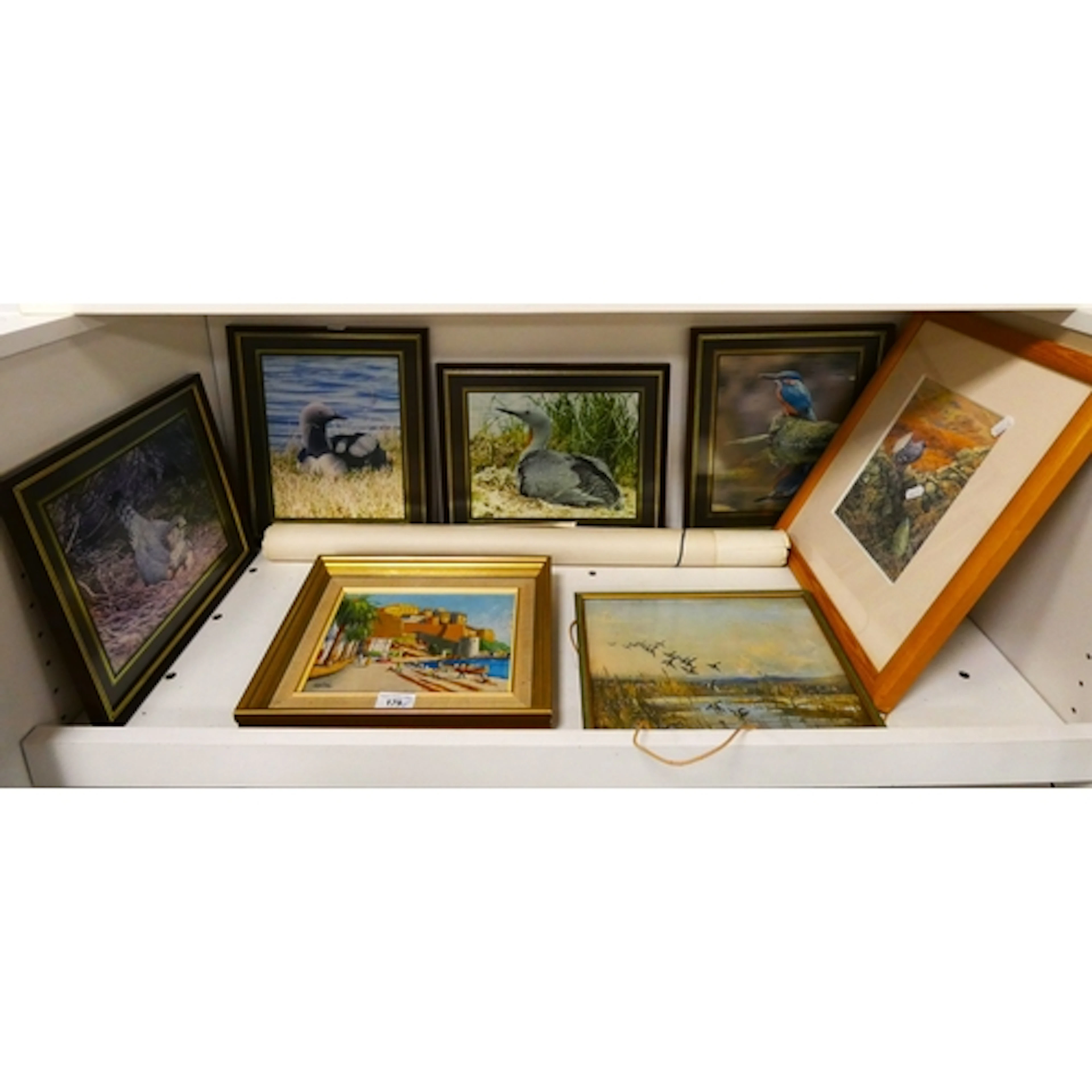 Shelf lot of prints and pictures to include Wildlife bird ph...