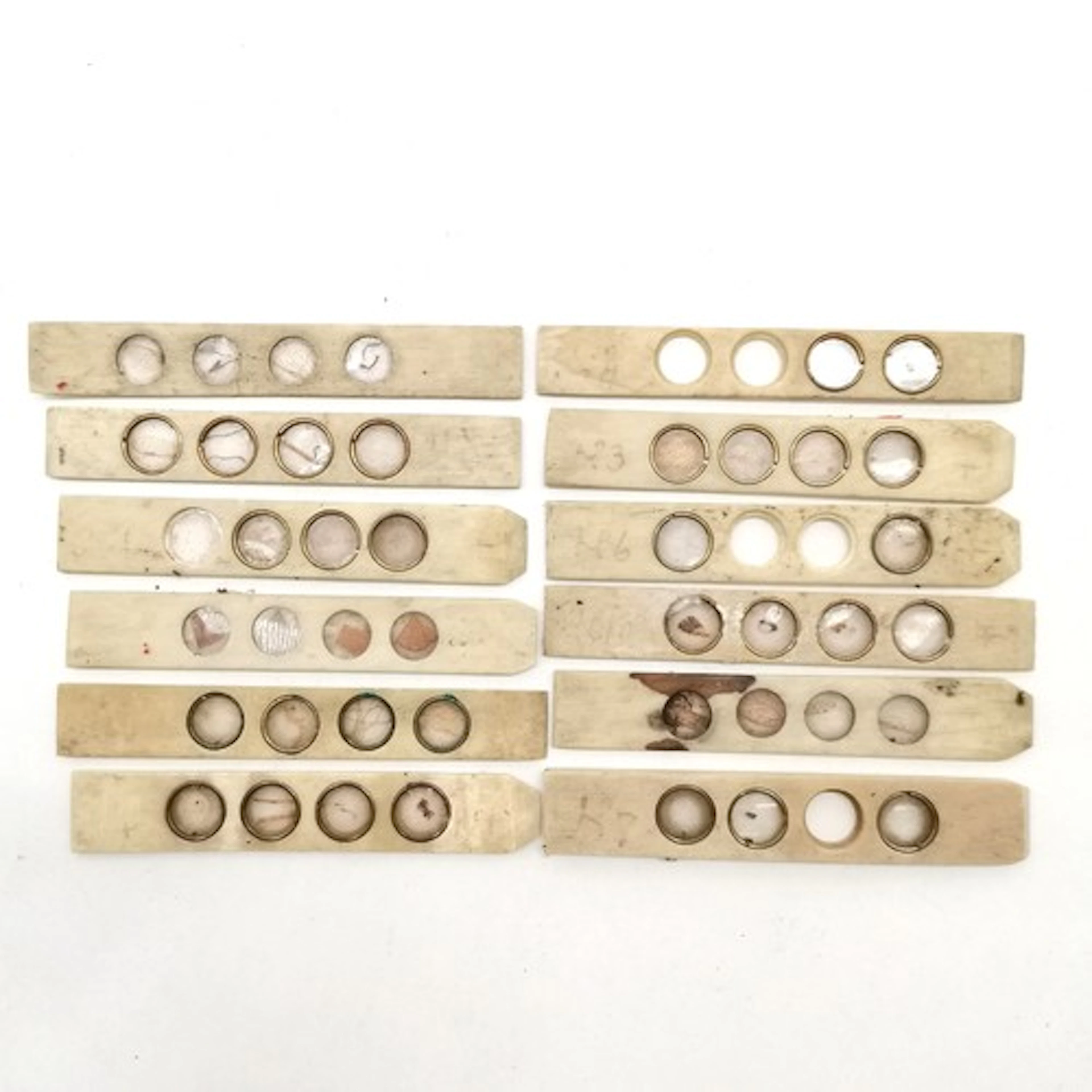 A collection of 12 antique bone microscope slides 8cm long