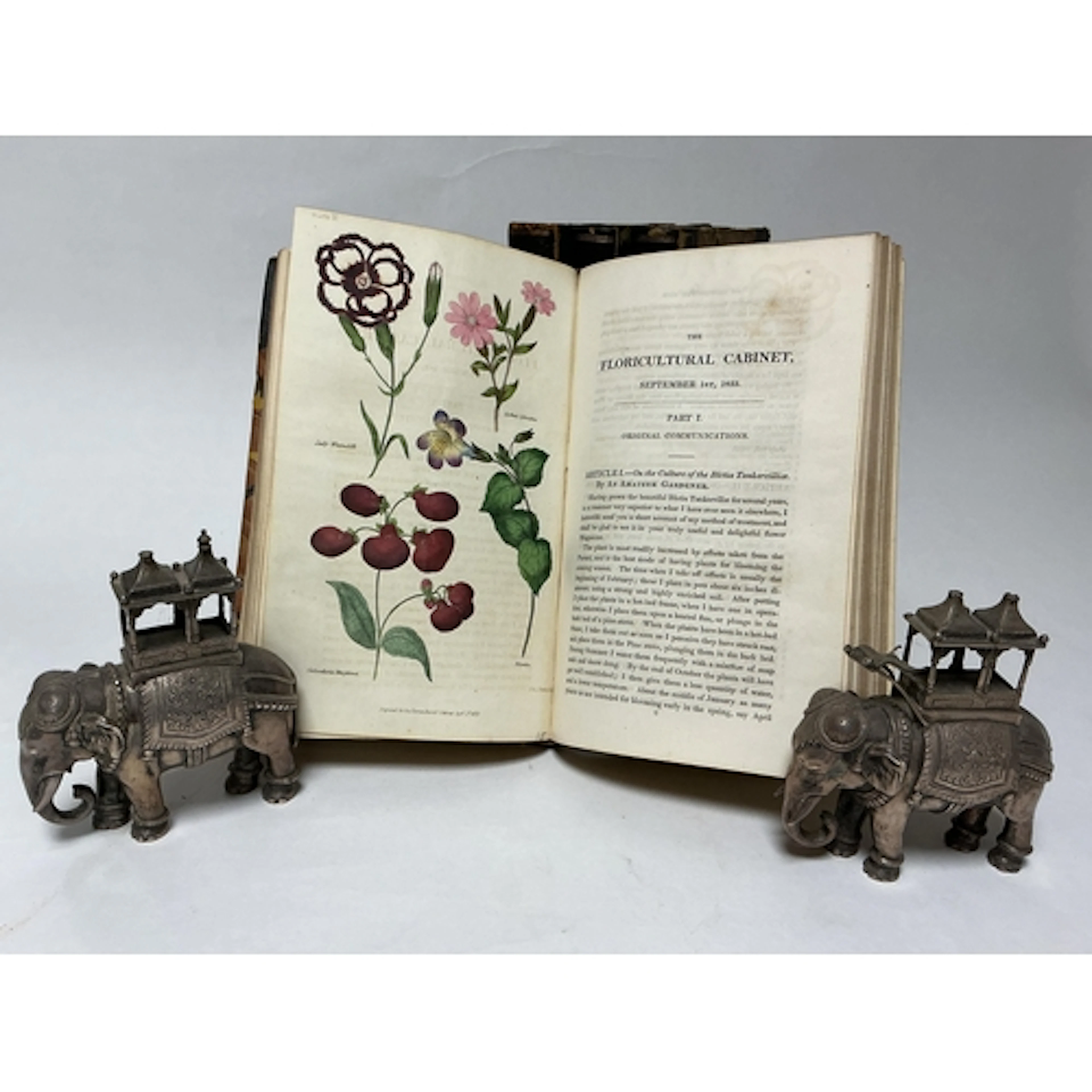 ° ° Harrison, Joseph. The Floricultural Cabinet, and Florist...
