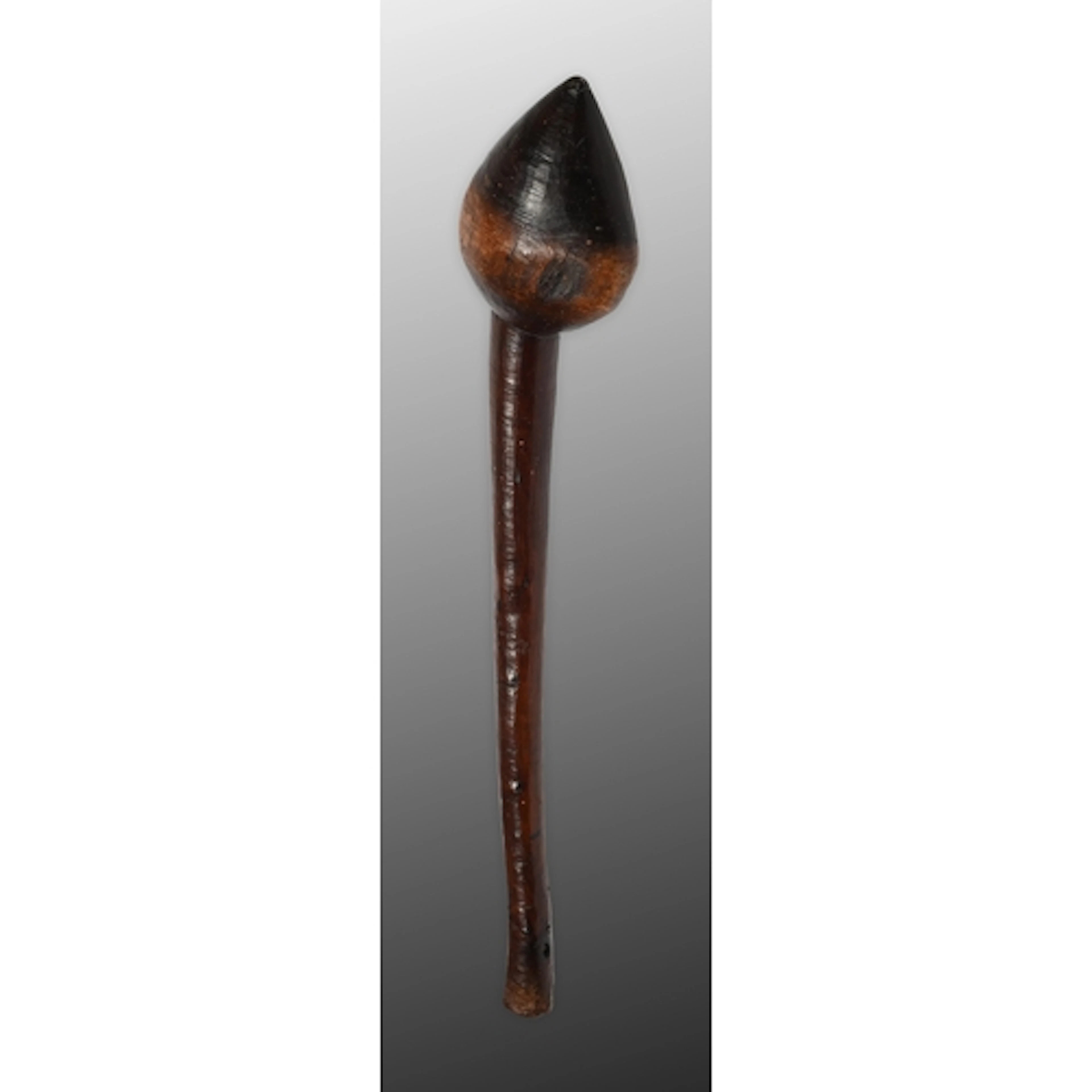 Australia. An Aboriginal club, nulla nulla/waddy, possibly l...