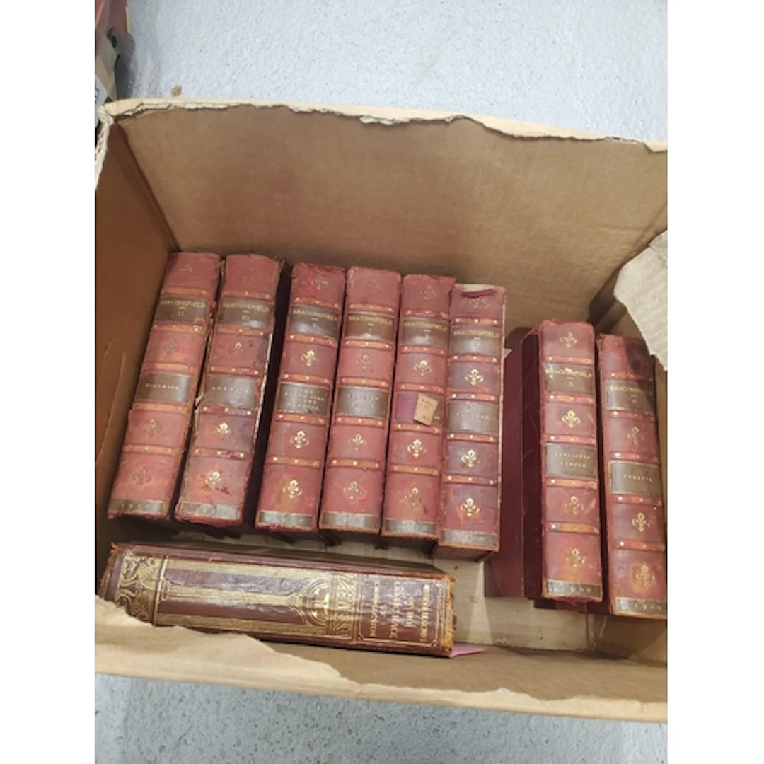 Box of Books including Beaconsfield and ROLLESTON, T.W., 'My...