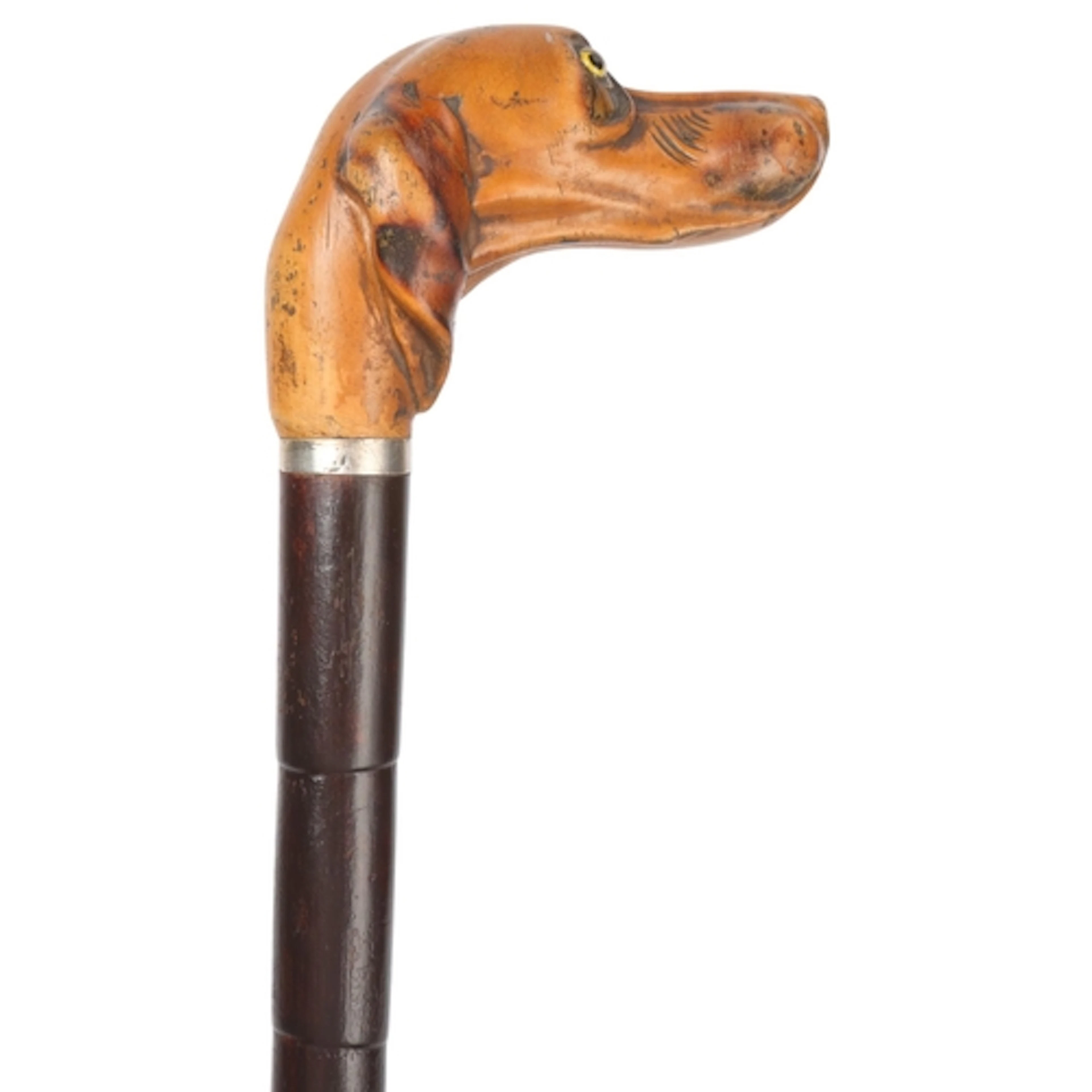 An antique cane with a boxwood dog head handle, the carved h...