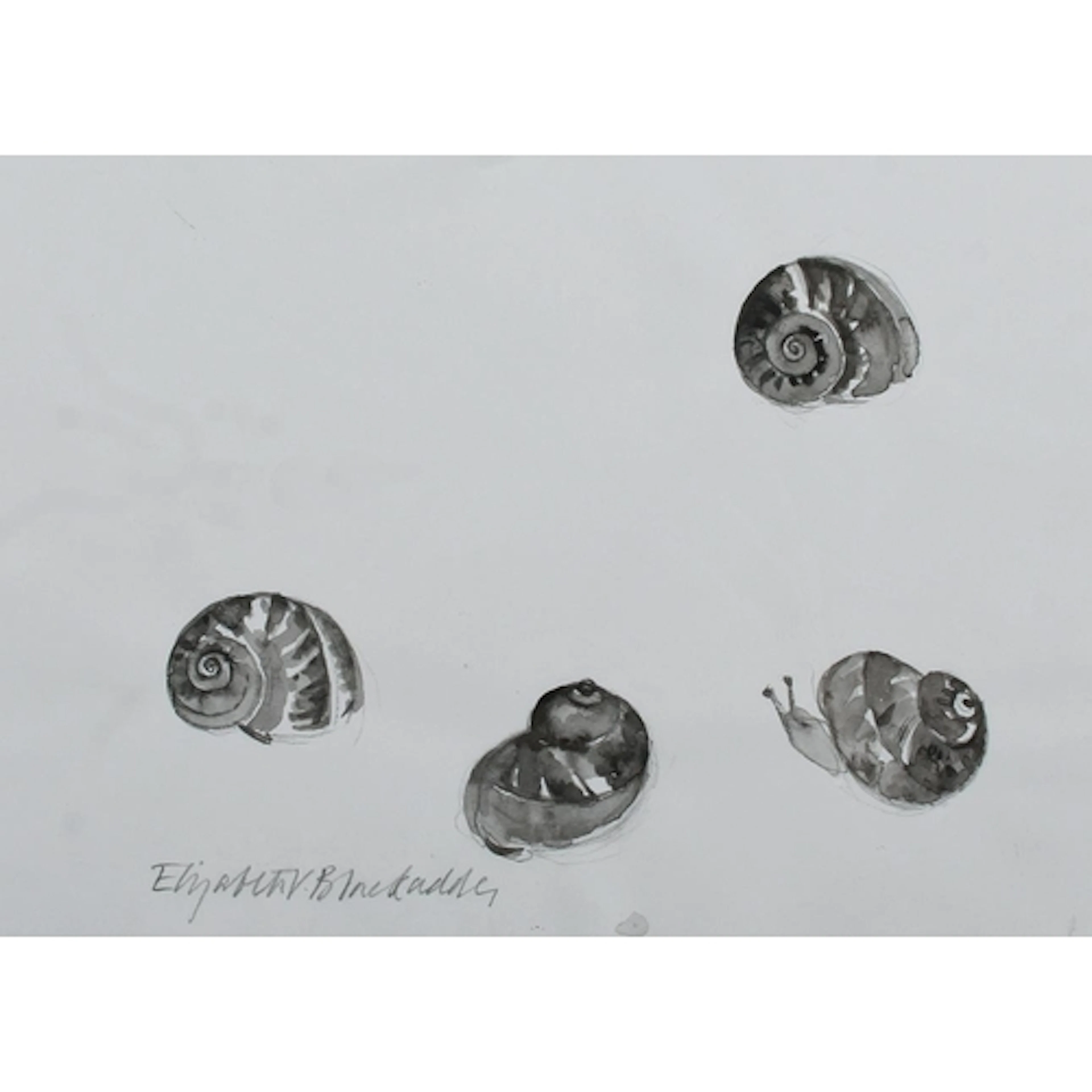 DAME ELIZABETH VIOLET BLACKADDER OBE RA RSA RSW RGI DLitt (S...