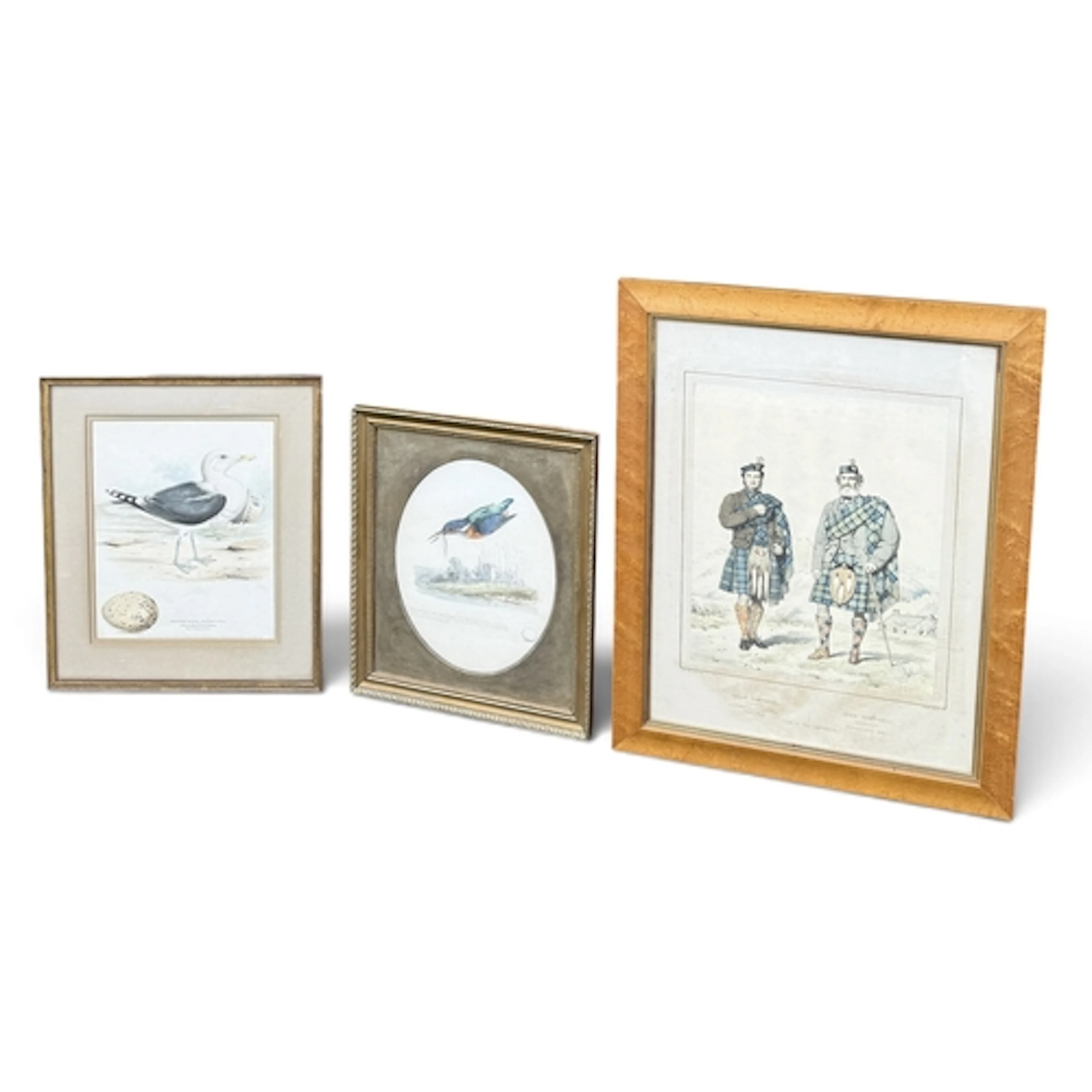HENRY LEONARD MEYER: KING FISHER AND GREATER BLACK BACKED GU...
