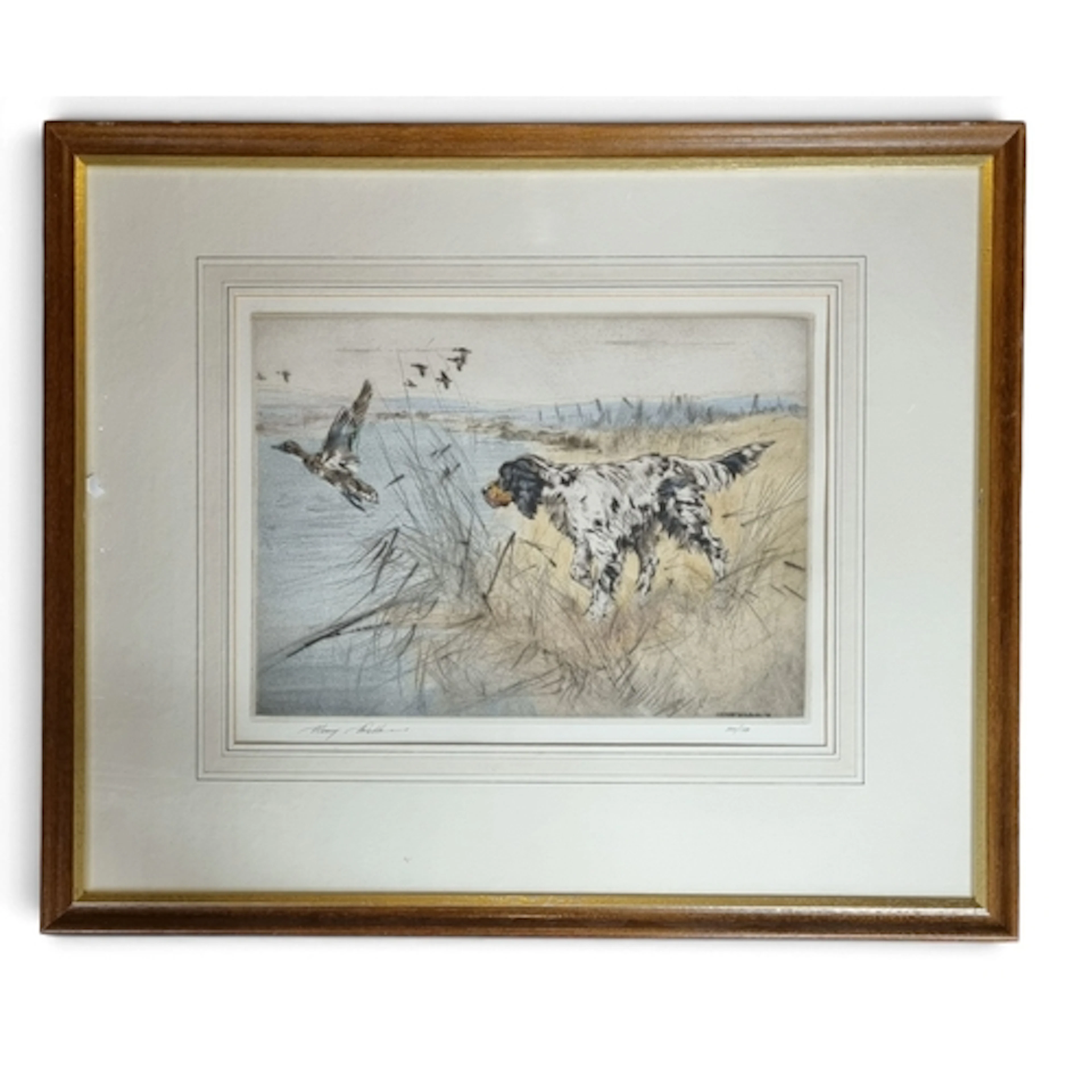 Henry Wilkinson. A limited edition coloured Engraving of a s...