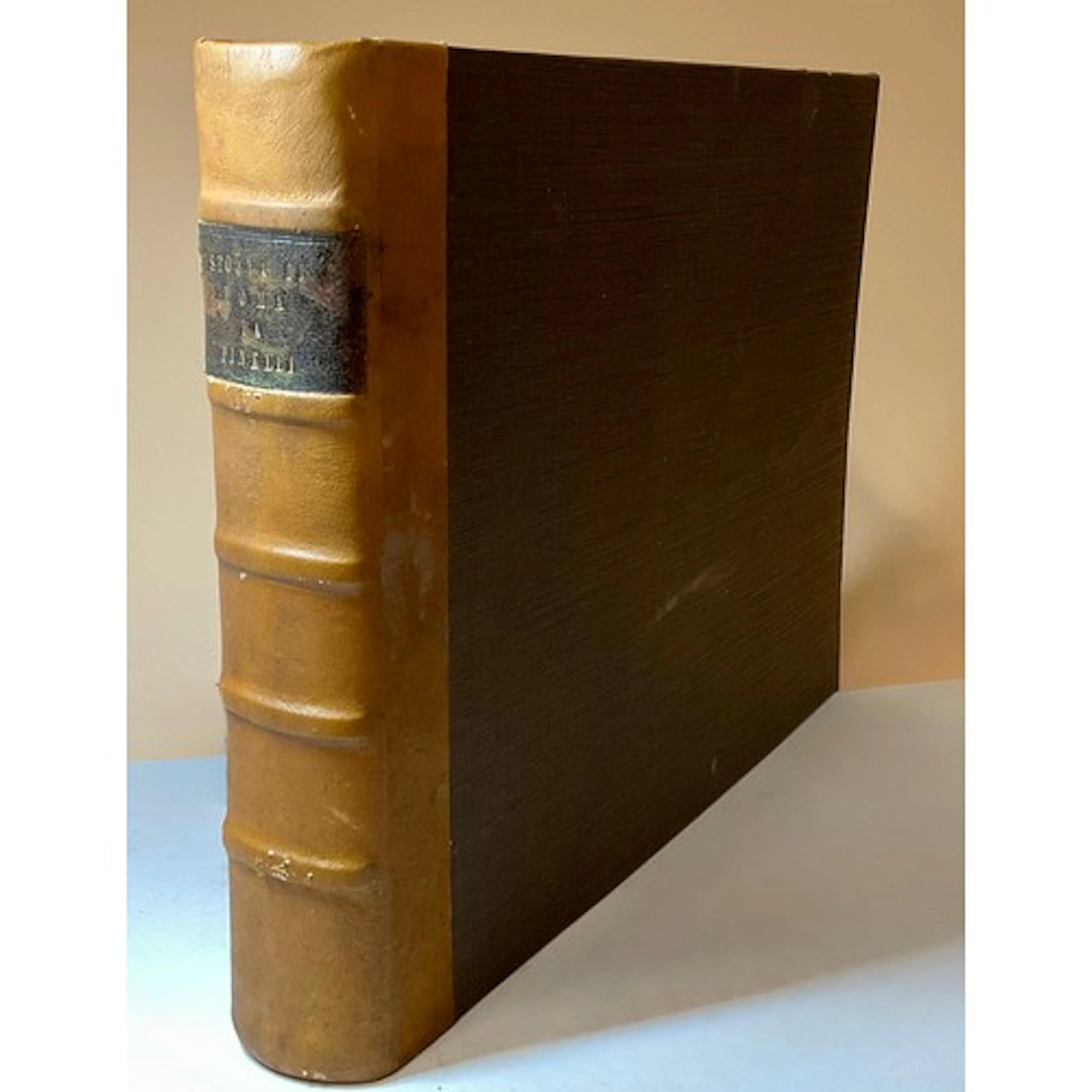 Books - Pinelli, Bartolommeo (1781-1835), Gran Quadro della ...