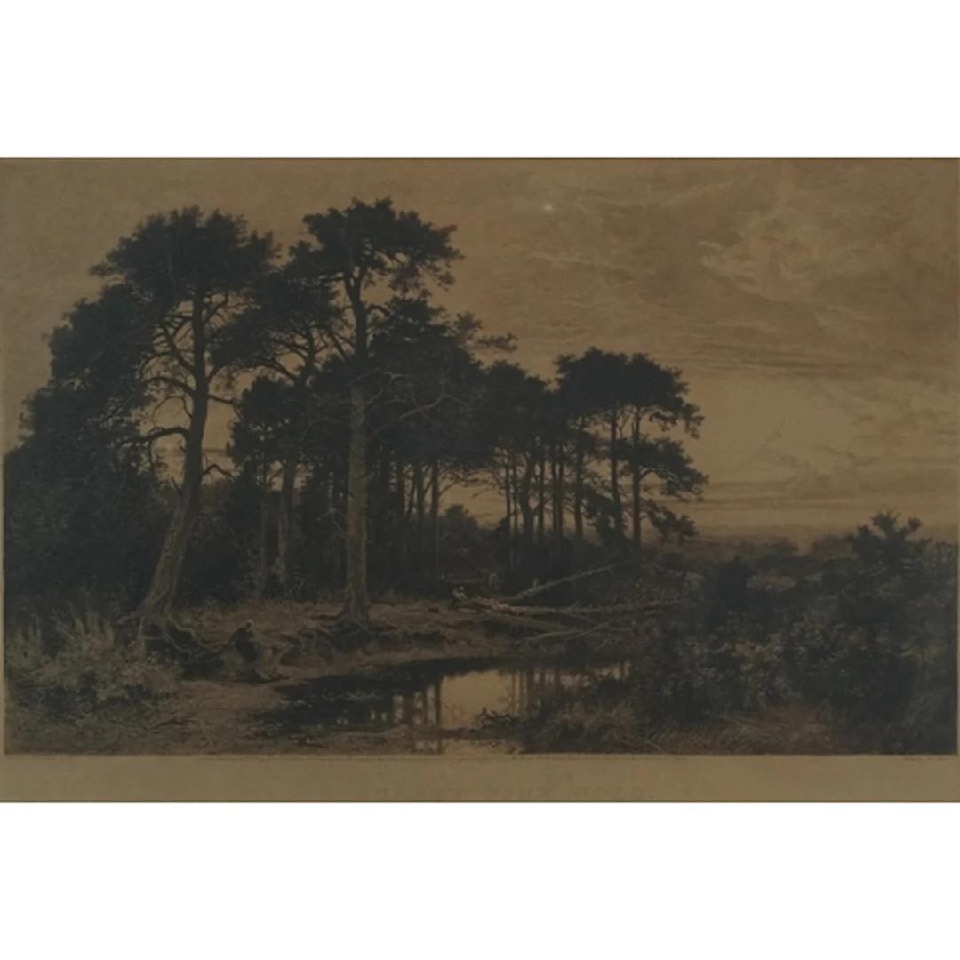 A Surrey Pine Wood, vintage black and white engraving printe...