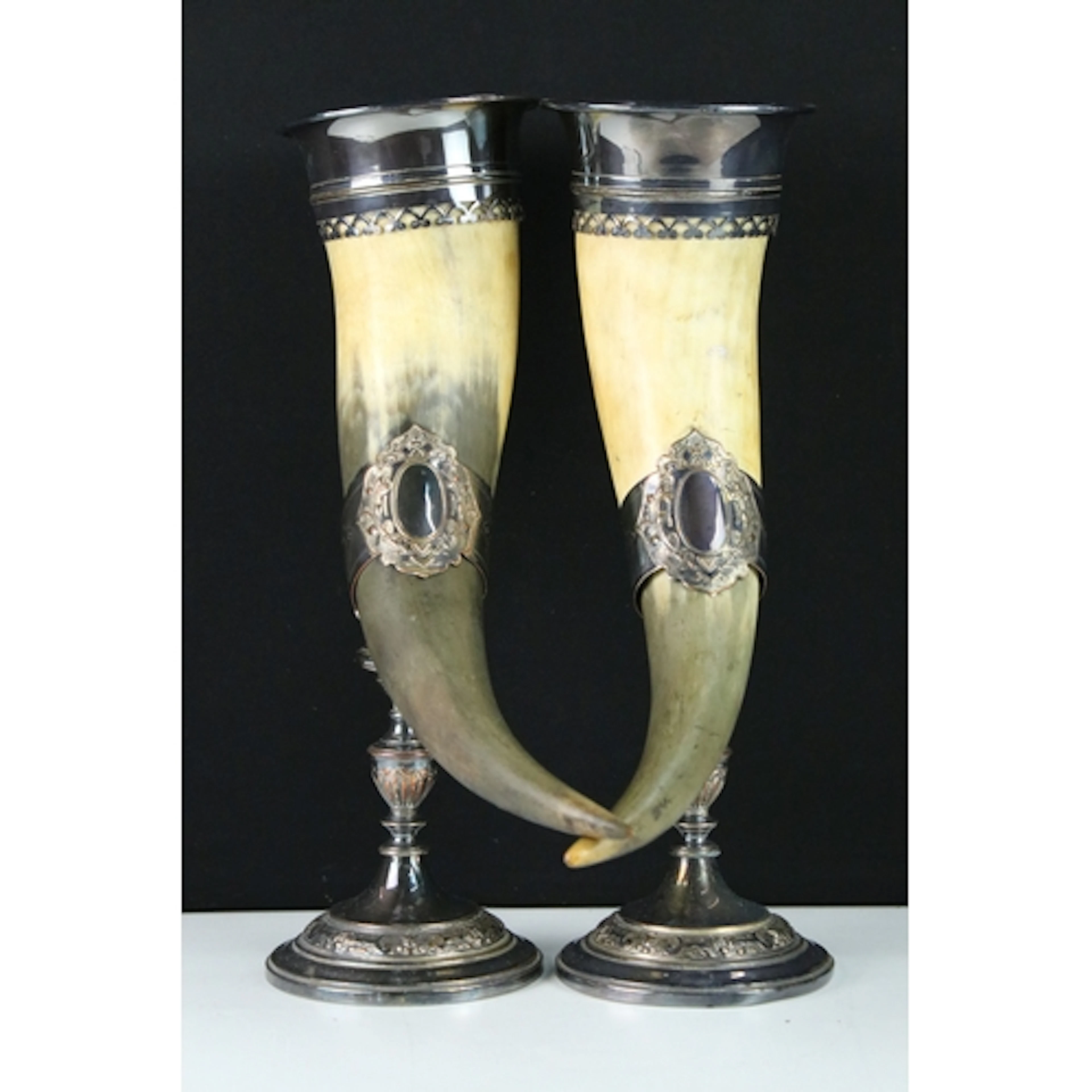Pair of early 20th century cow horns with silver plated moun...