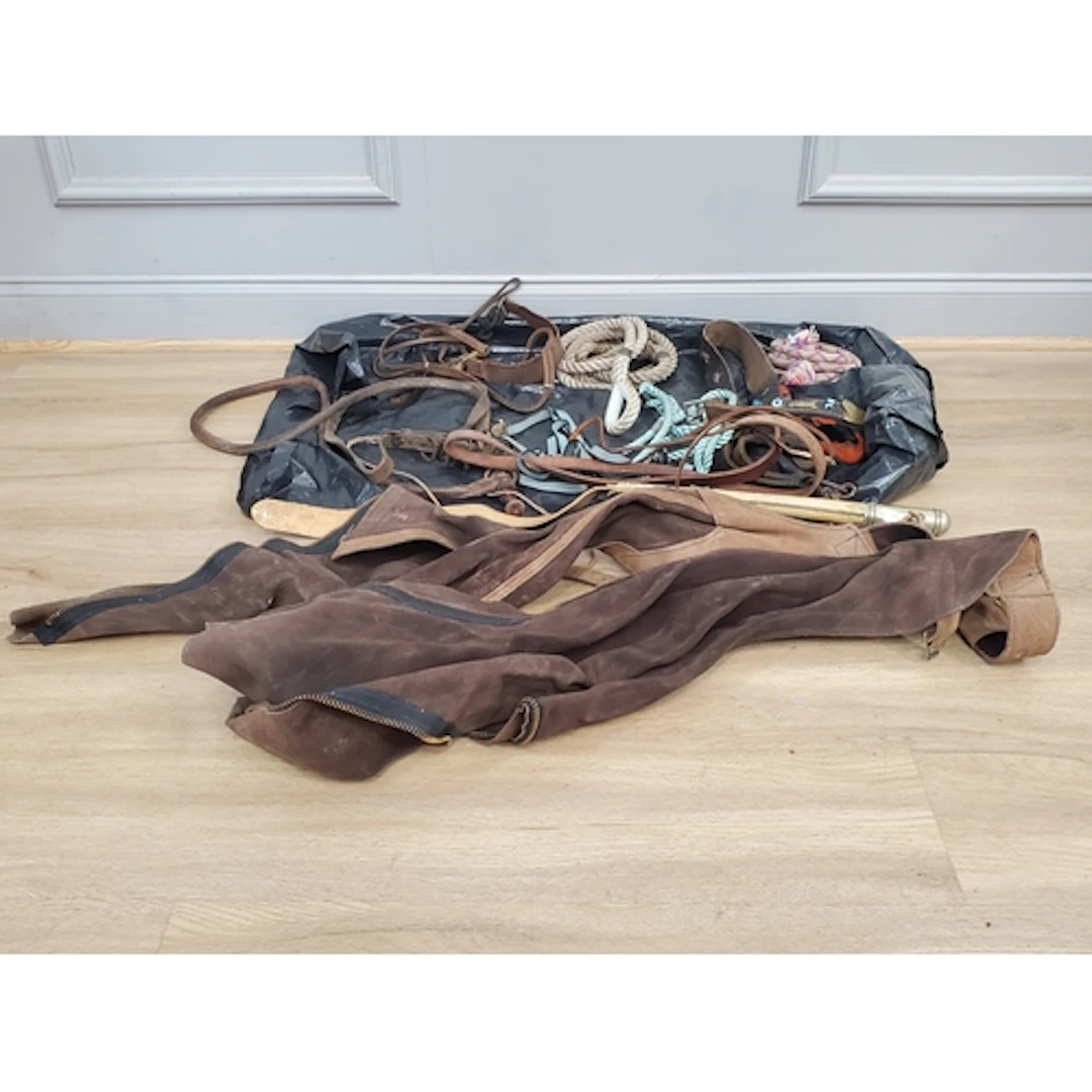 A collection of assorted riding crops and other equipment, (...