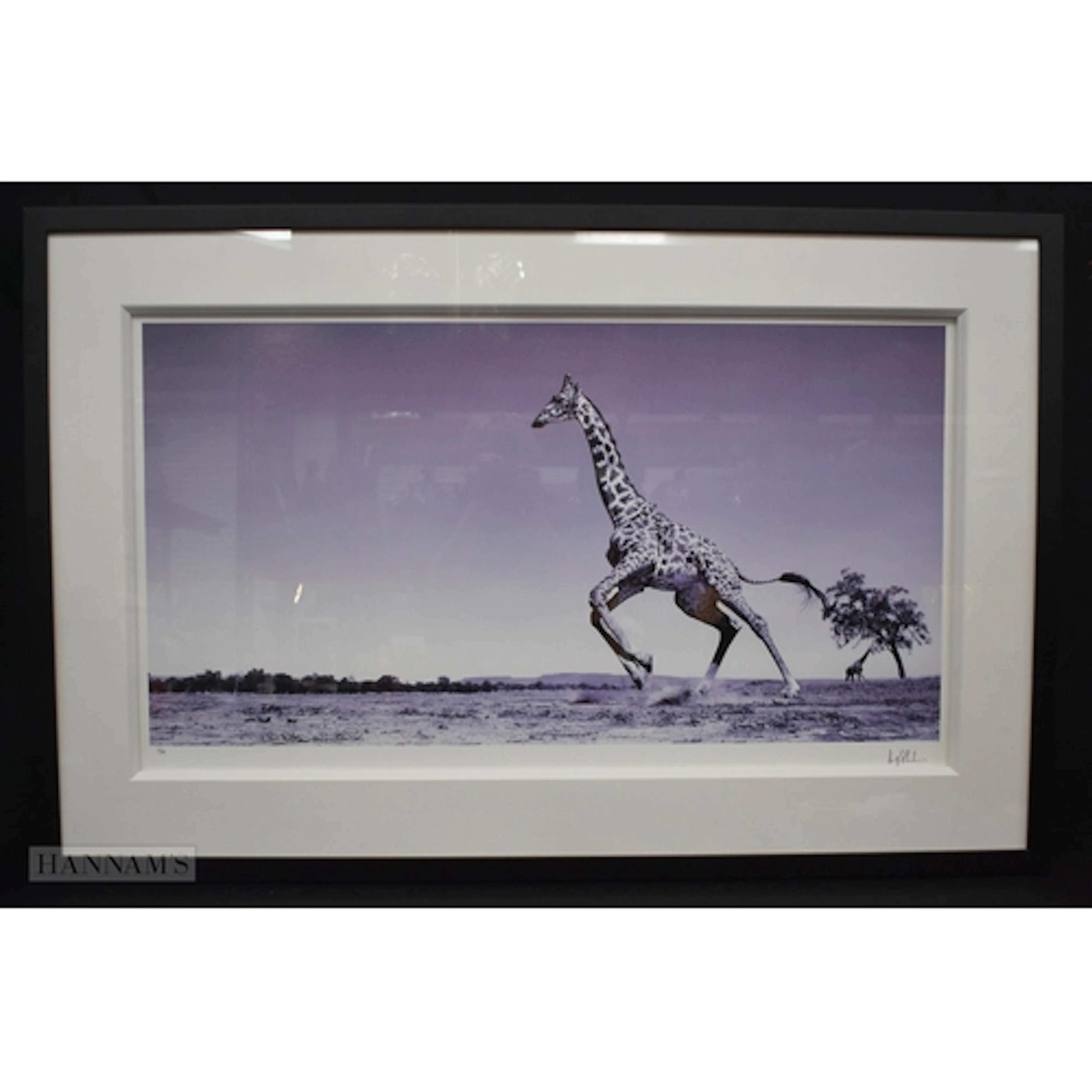 Anup Shah (20th Century British), a framed limited edition p...