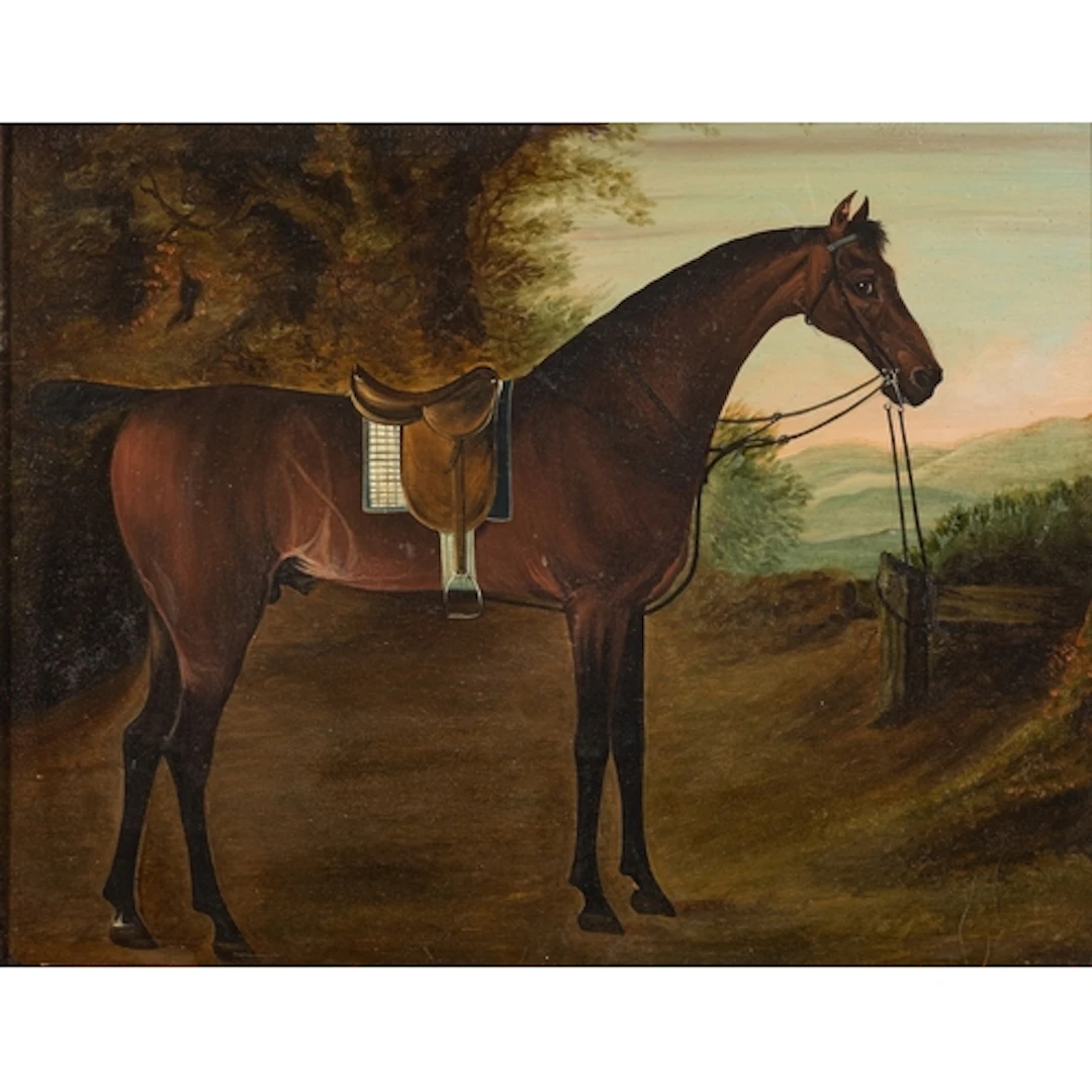 19th Century British school - Study of a bay horse, saddled...