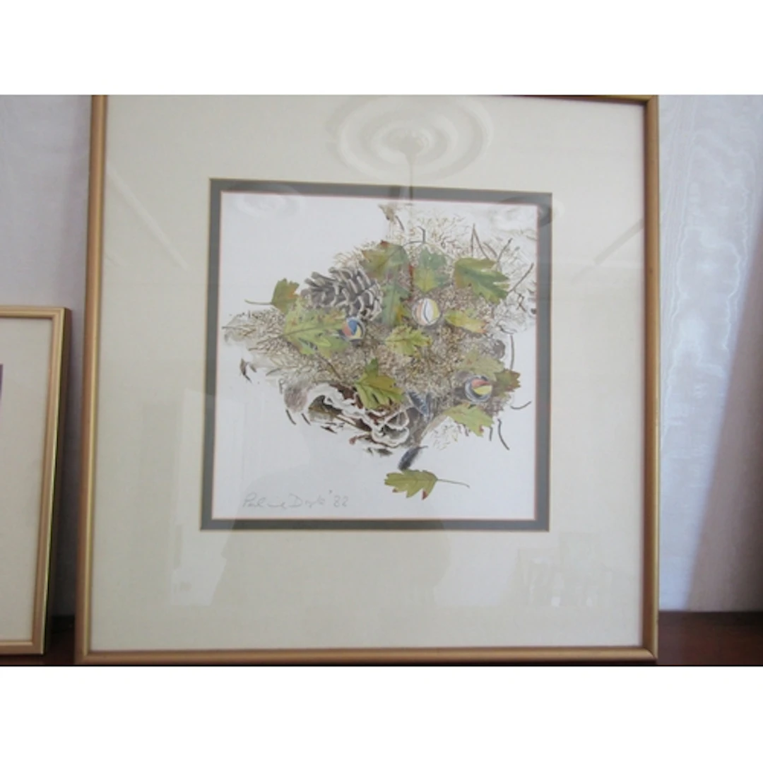 Pauline Doyle Pine Cone Still Life Watercolour Signed Lower ...