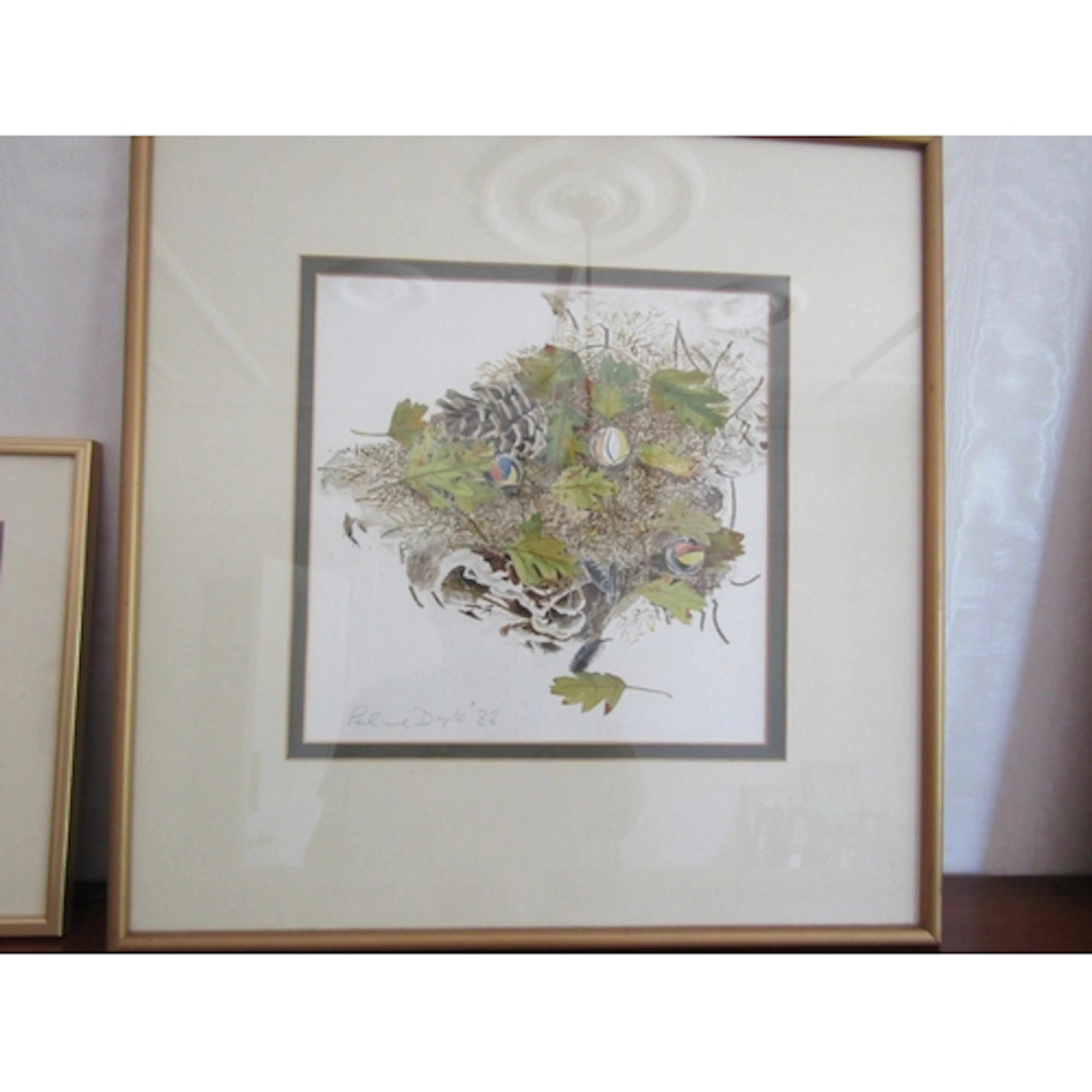 Pauline Doyle Pine Cone Still Life Watercolour Signed Lower ...