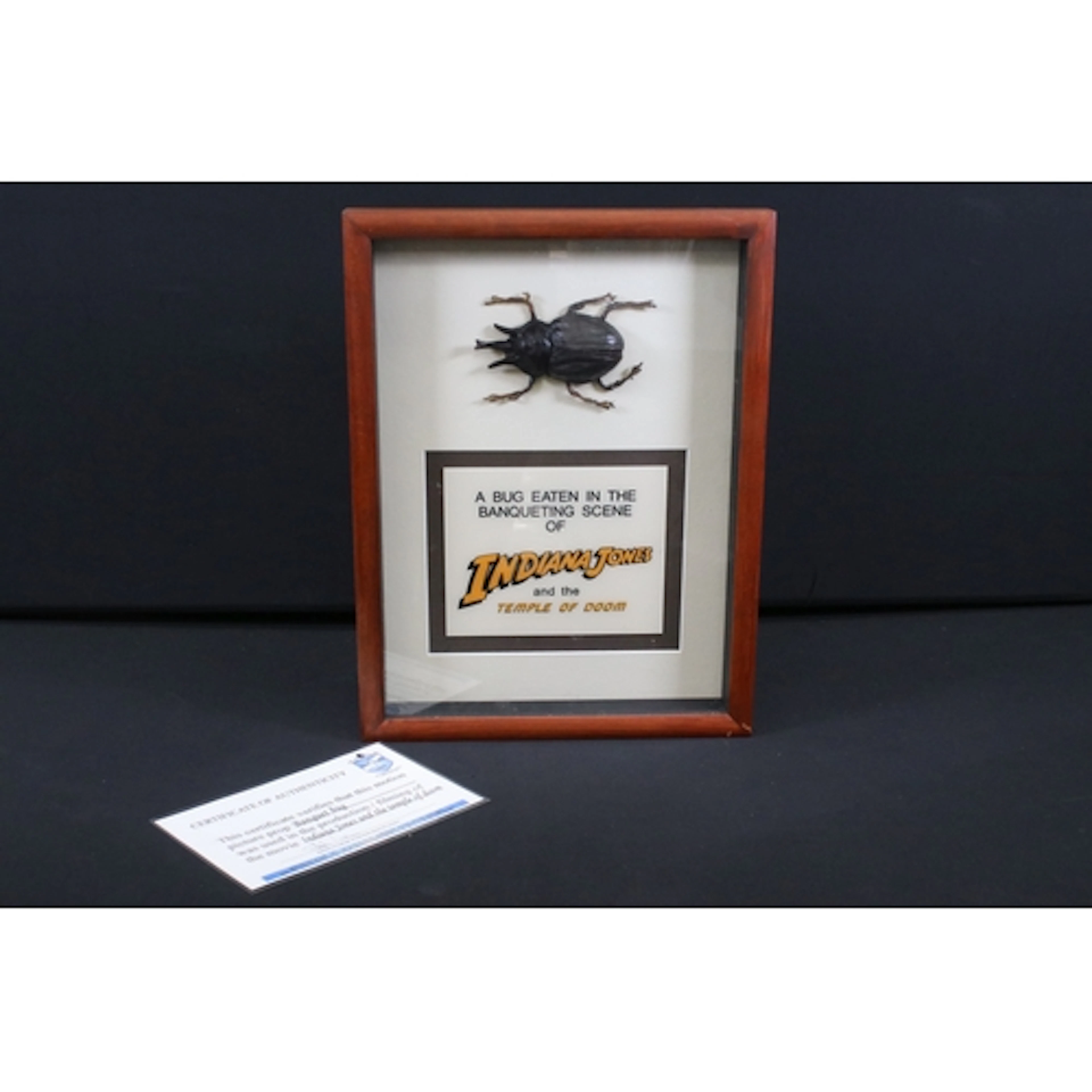 Film Memorabilia - Framed & glazed Indiana Jones and the Tem...