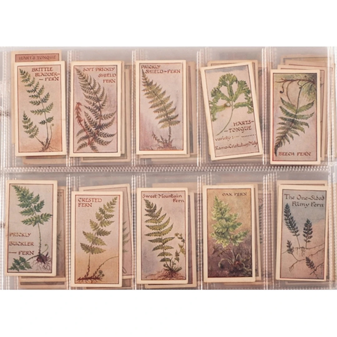 Players, Wills, Ogden's and others. An album of various ciga...