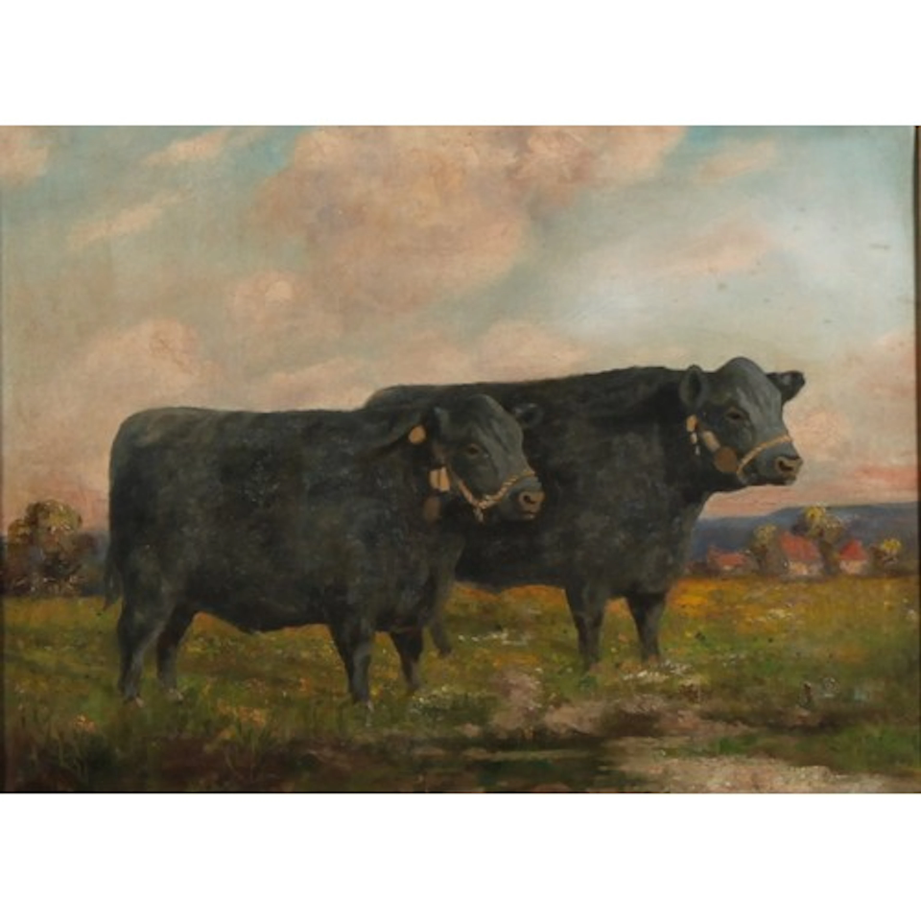 Charles Frederick Ingham (1879-1957) Angus Prize Cattle sig...