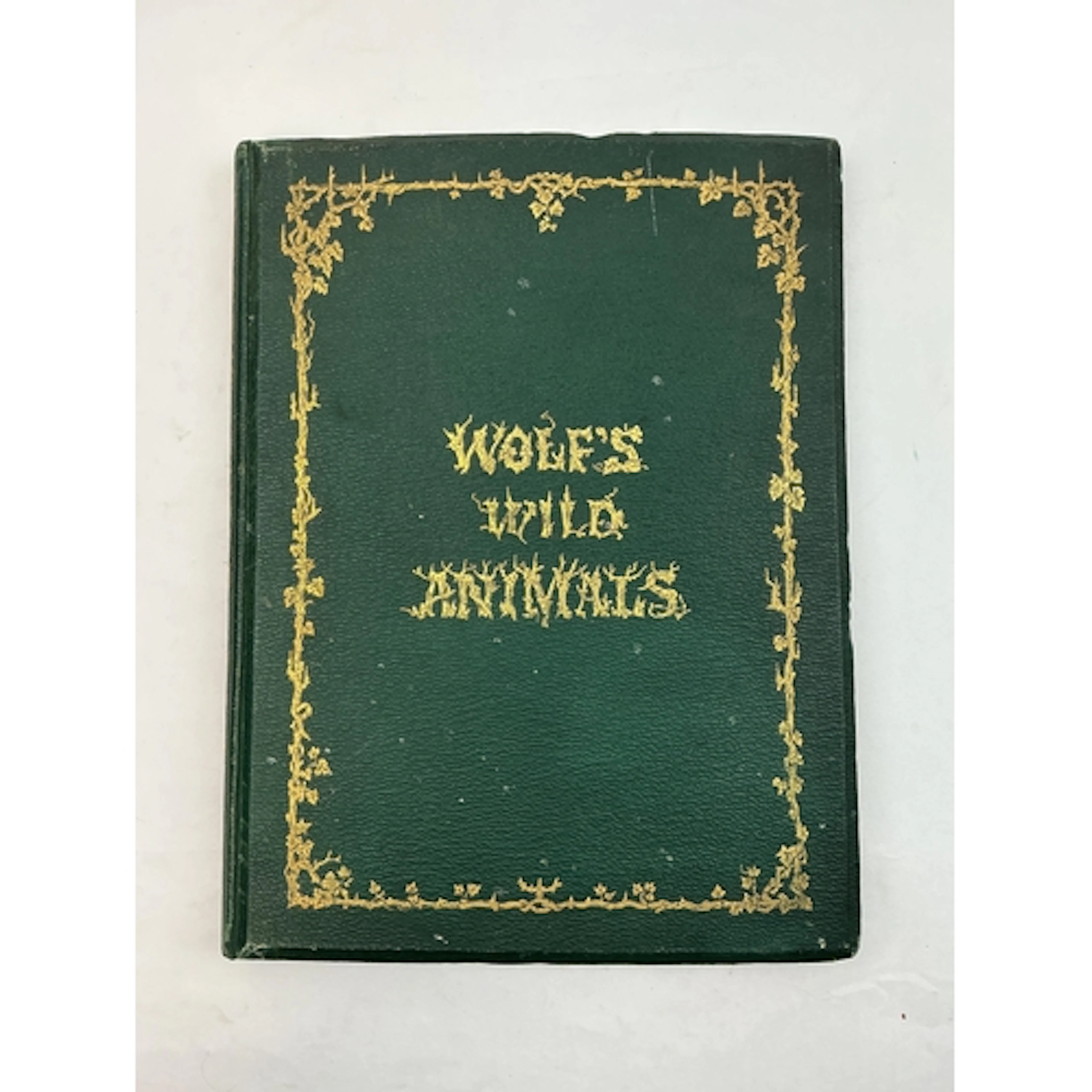 ° ° Wolf, Joseph - The Life and Habits of Wild Animals. Illu...