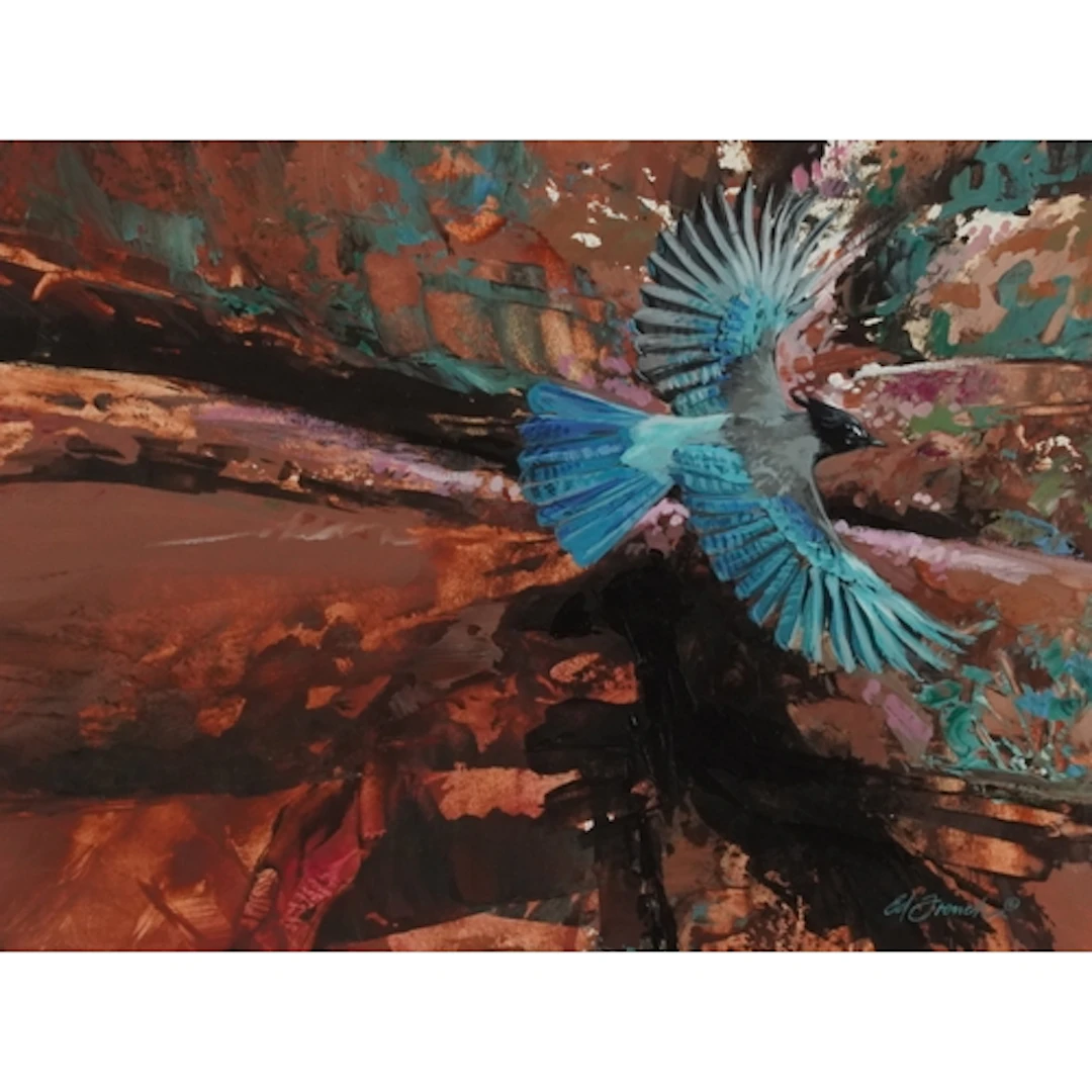 Bird in flight, 20th century oil, signed, mounted, framed an...
