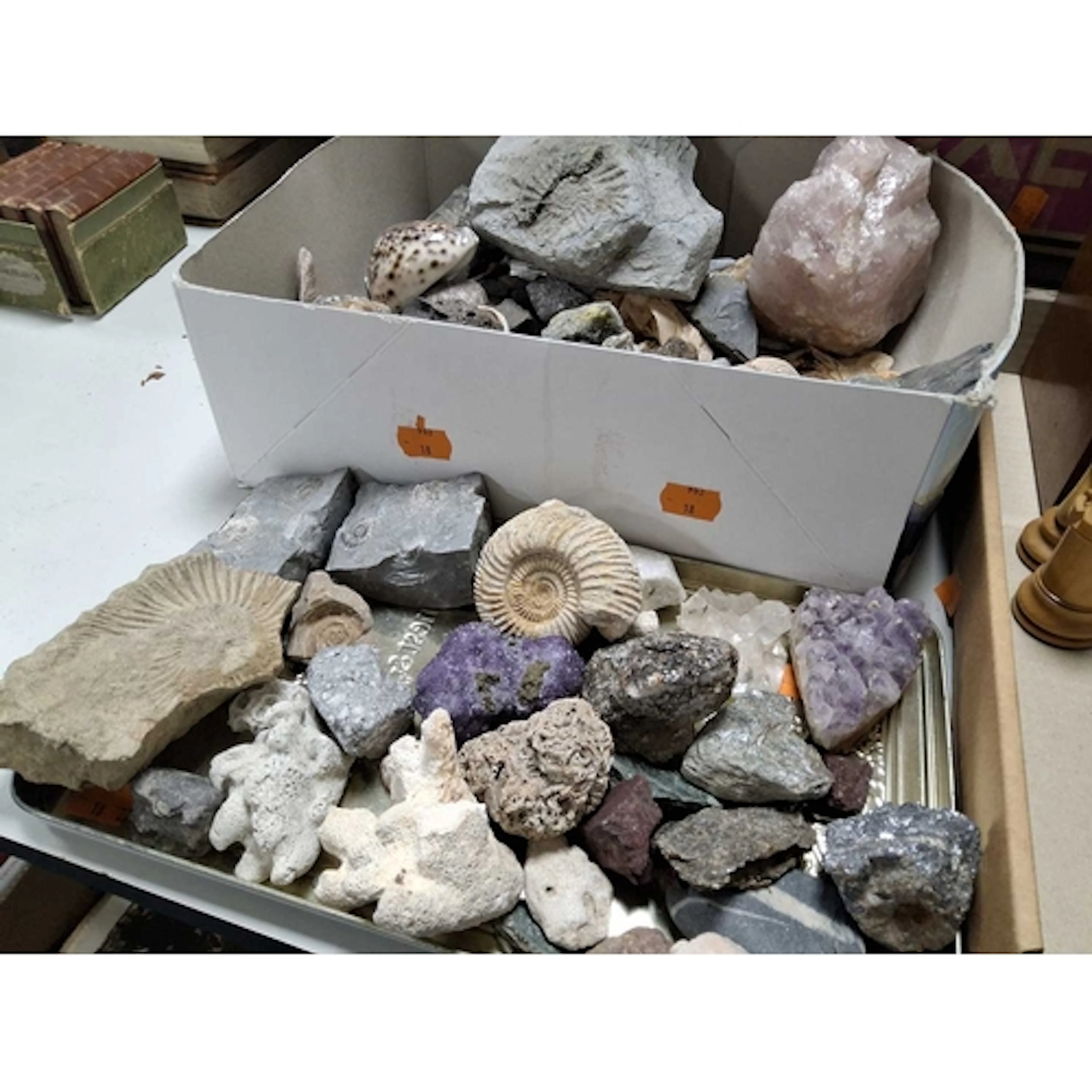 TWO BOXES OF FOSSILS AND MINERAL SPECIMENS to include approx...